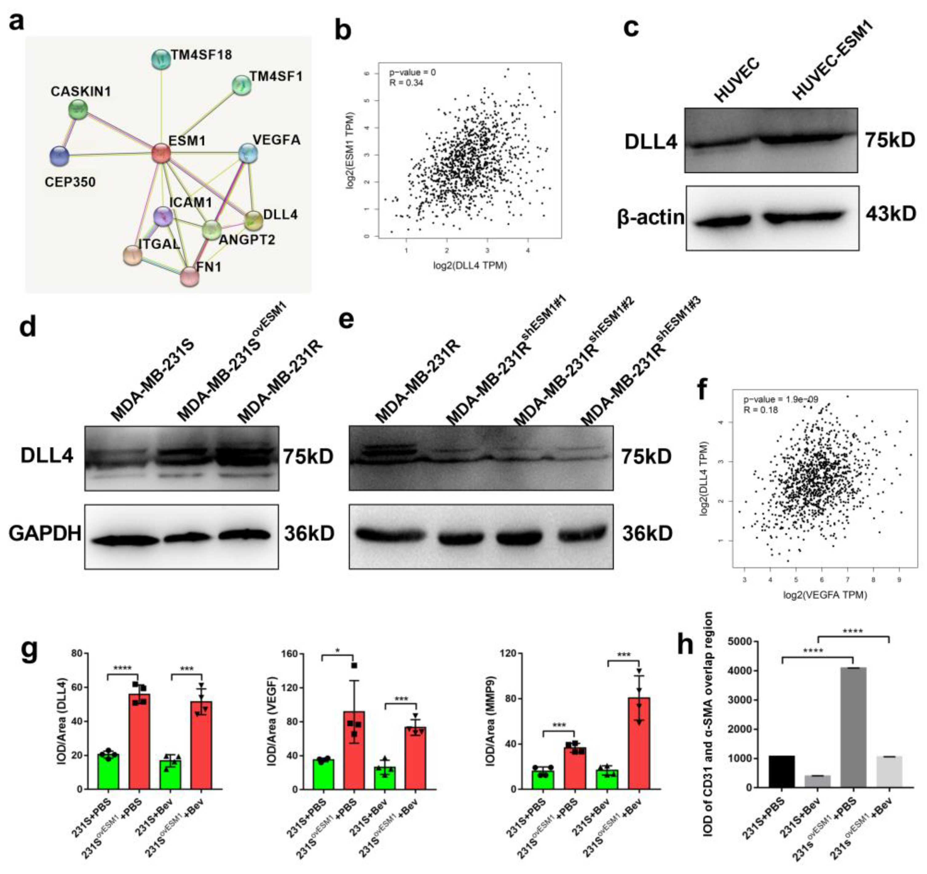 Cancers 14 05681 g006 Cancers 14 05681 g006