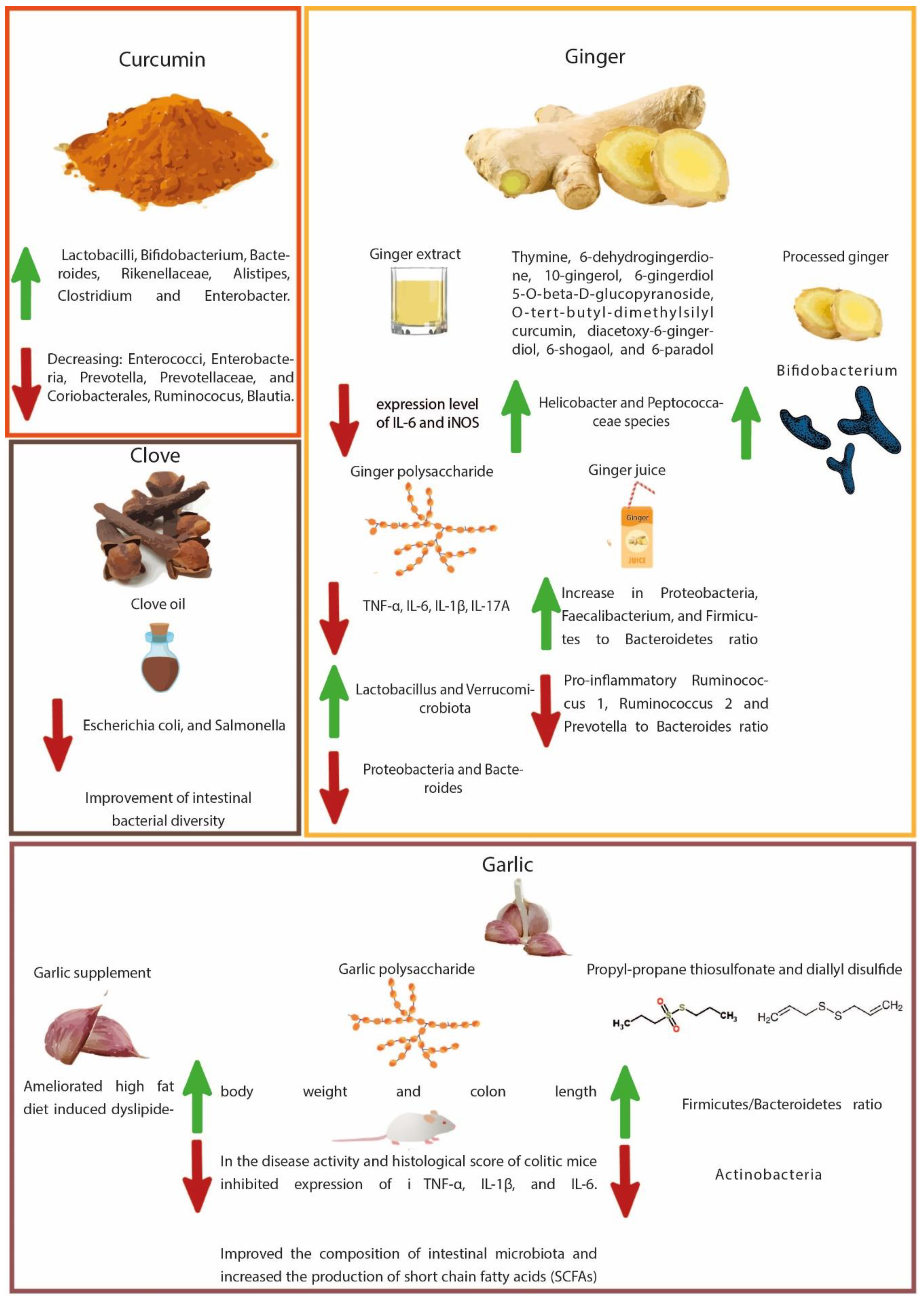 Cancers | Free Full-Text | Spice-Derived Bioactive Compounds Confer Colorectal  Cancer Prevention via Modulation of Gut Microbiota