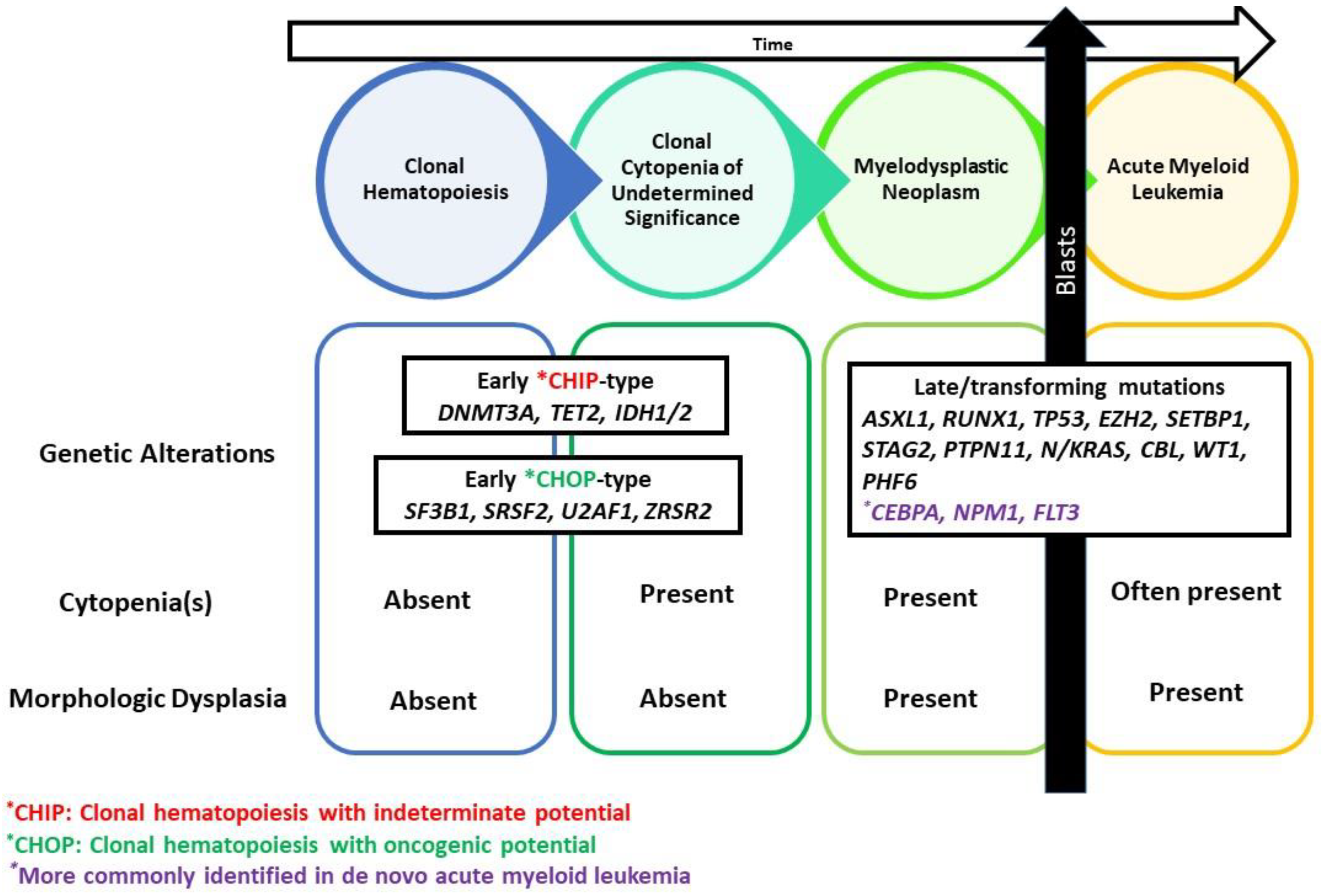 Cancers 14 05690 g002