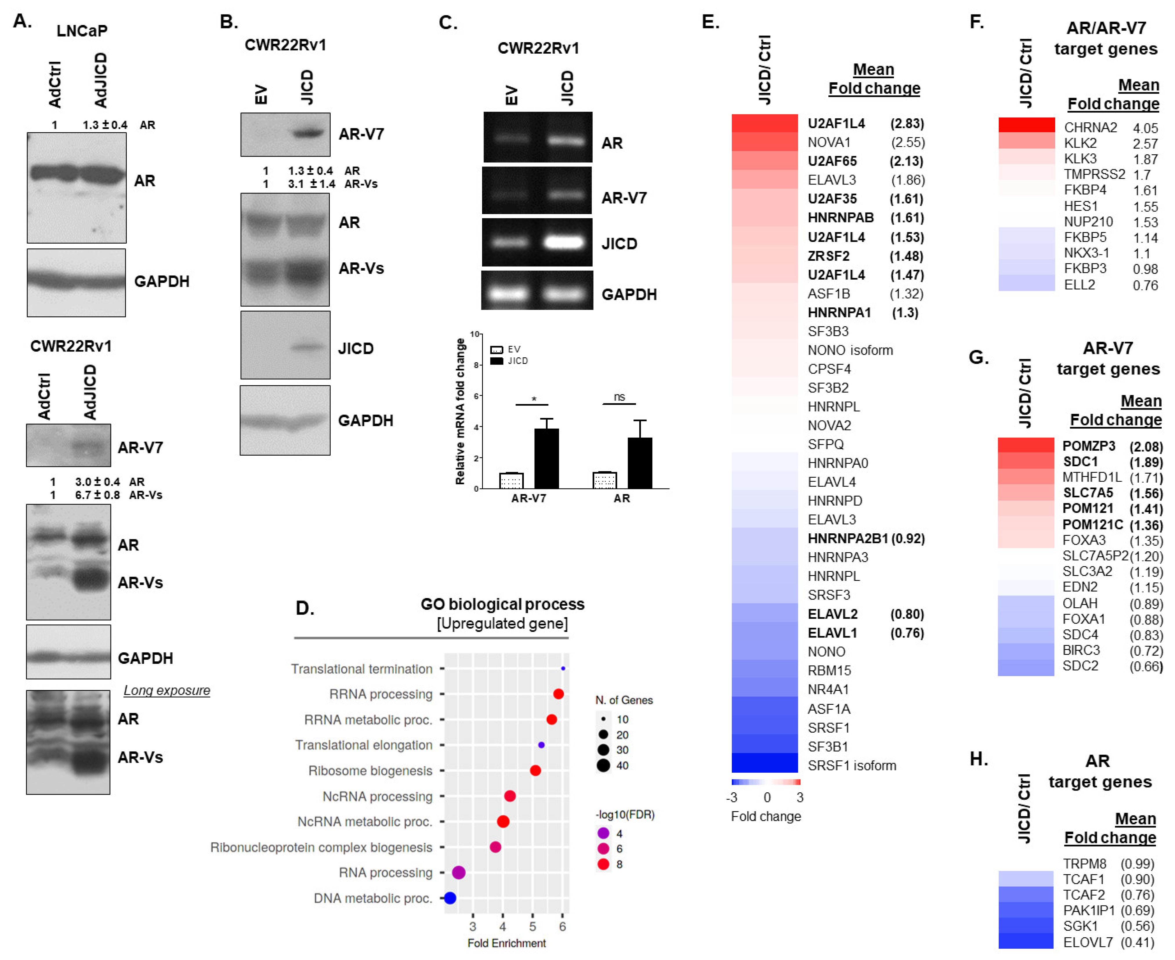 Cancers 14 05714 g002