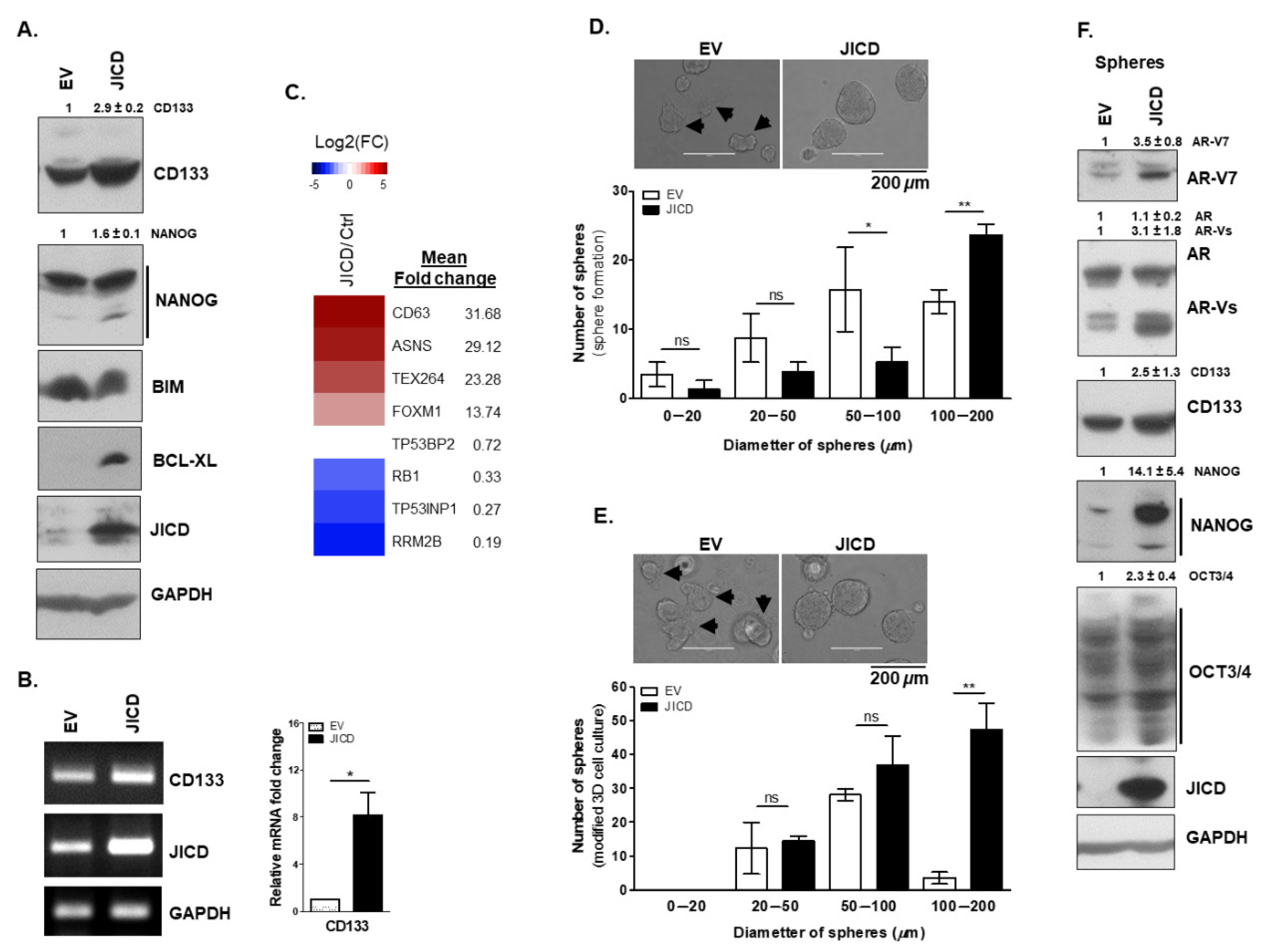 Cancers 14 05714 g004