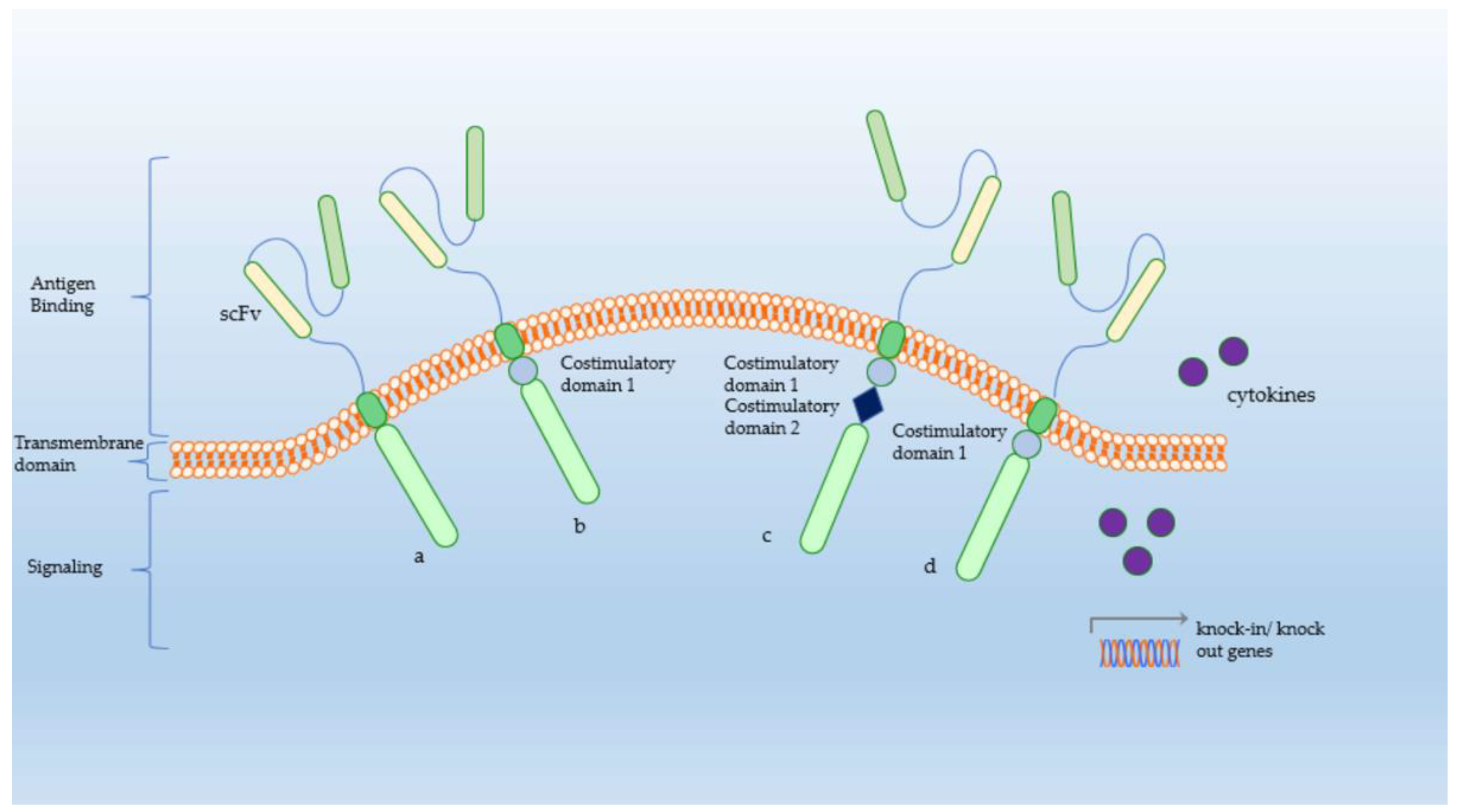 Cancers 14 05719 g001 Cancers 14 05719 g001