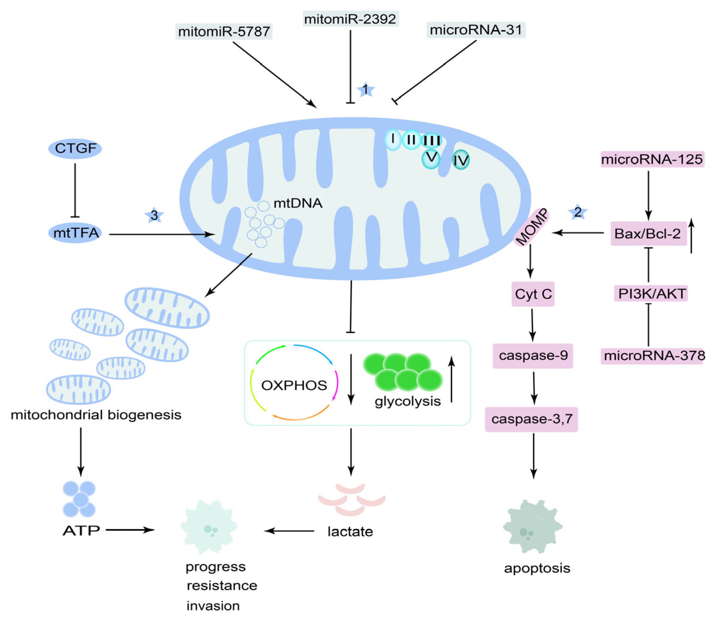 Cancers 14 05723 g006