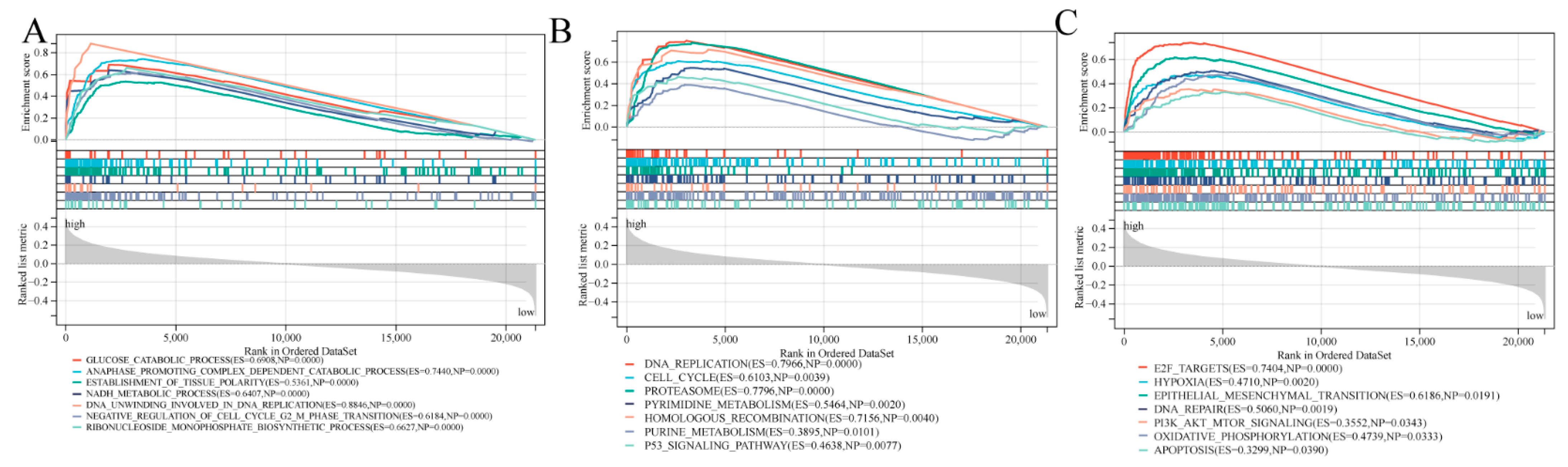 Cancers 14 05744 g007
