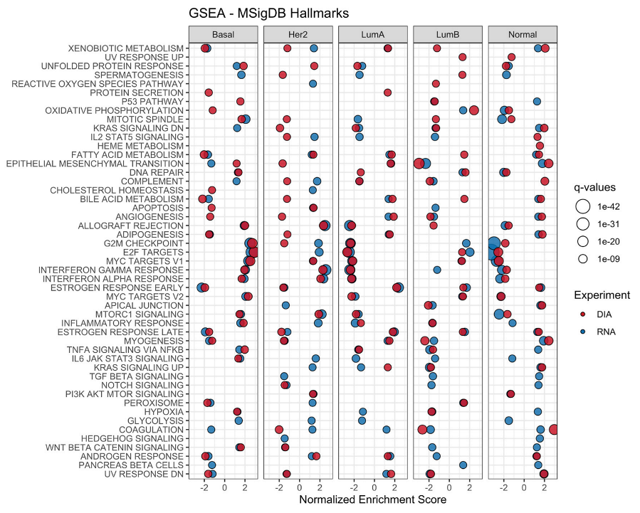 Cancers 14 05761 g001 Cancers 14 05761 g001