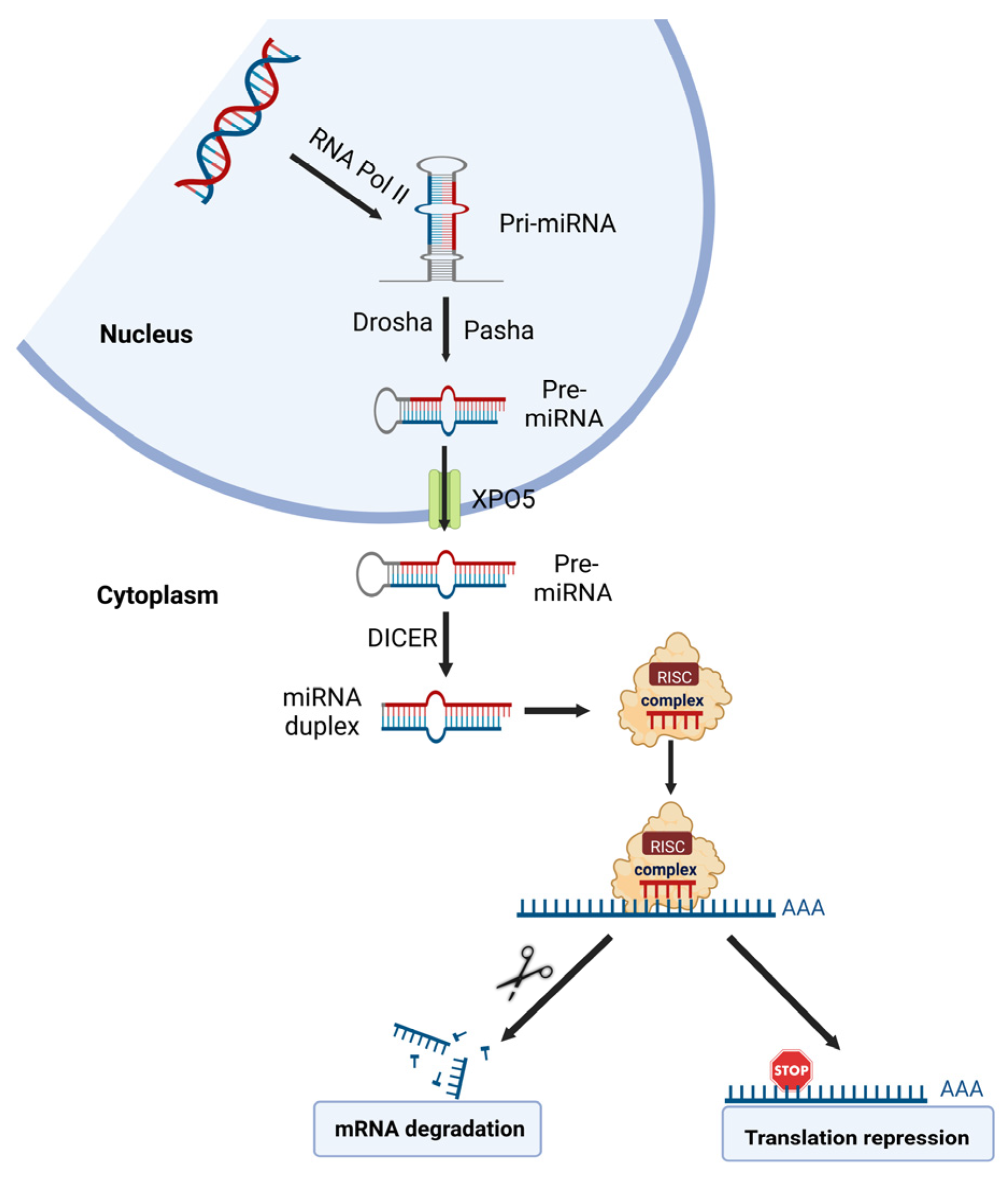 Cancers | Free Full-Text | Epigenetic Regulation in Chromium 