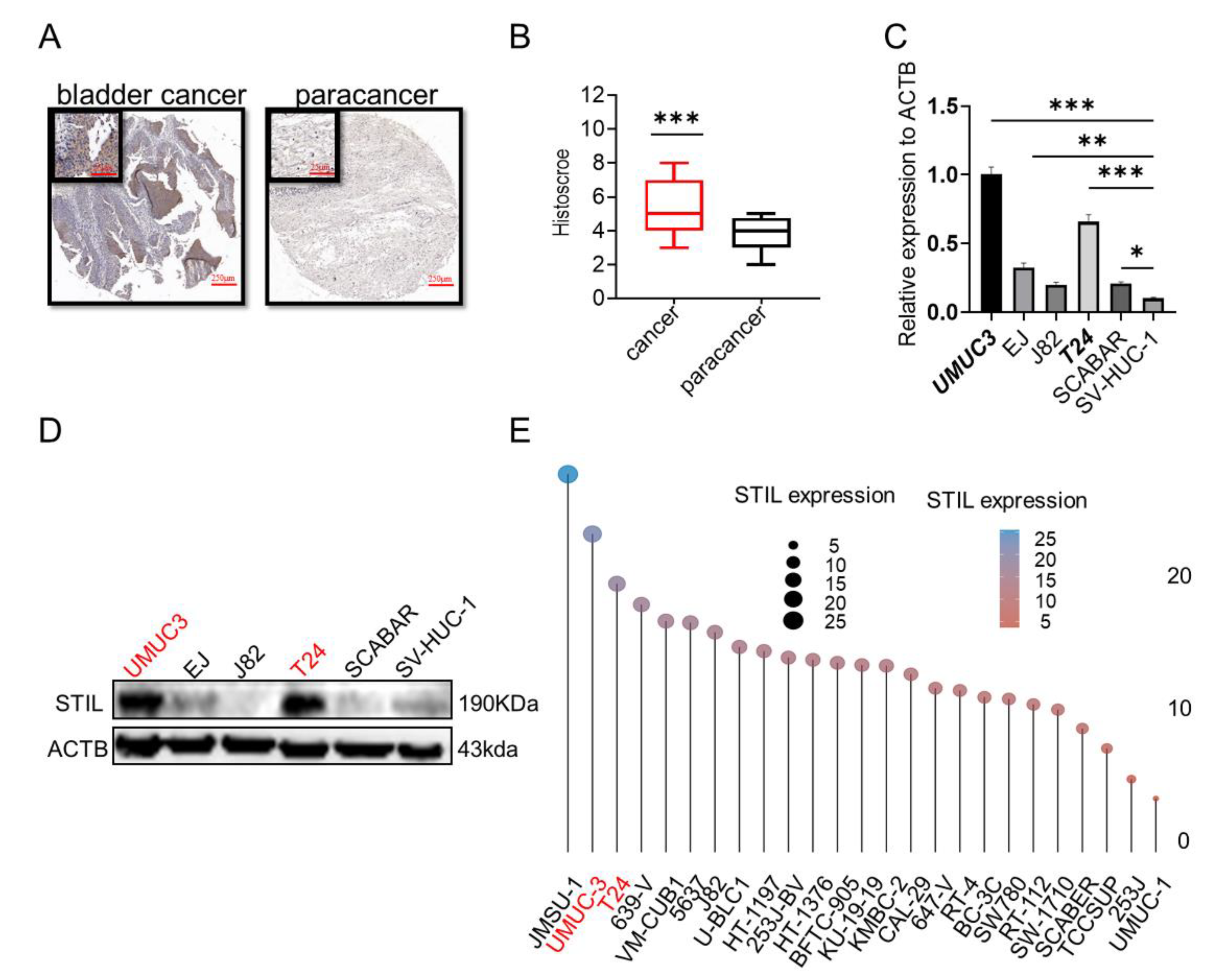 Cancers 14 05777 g002