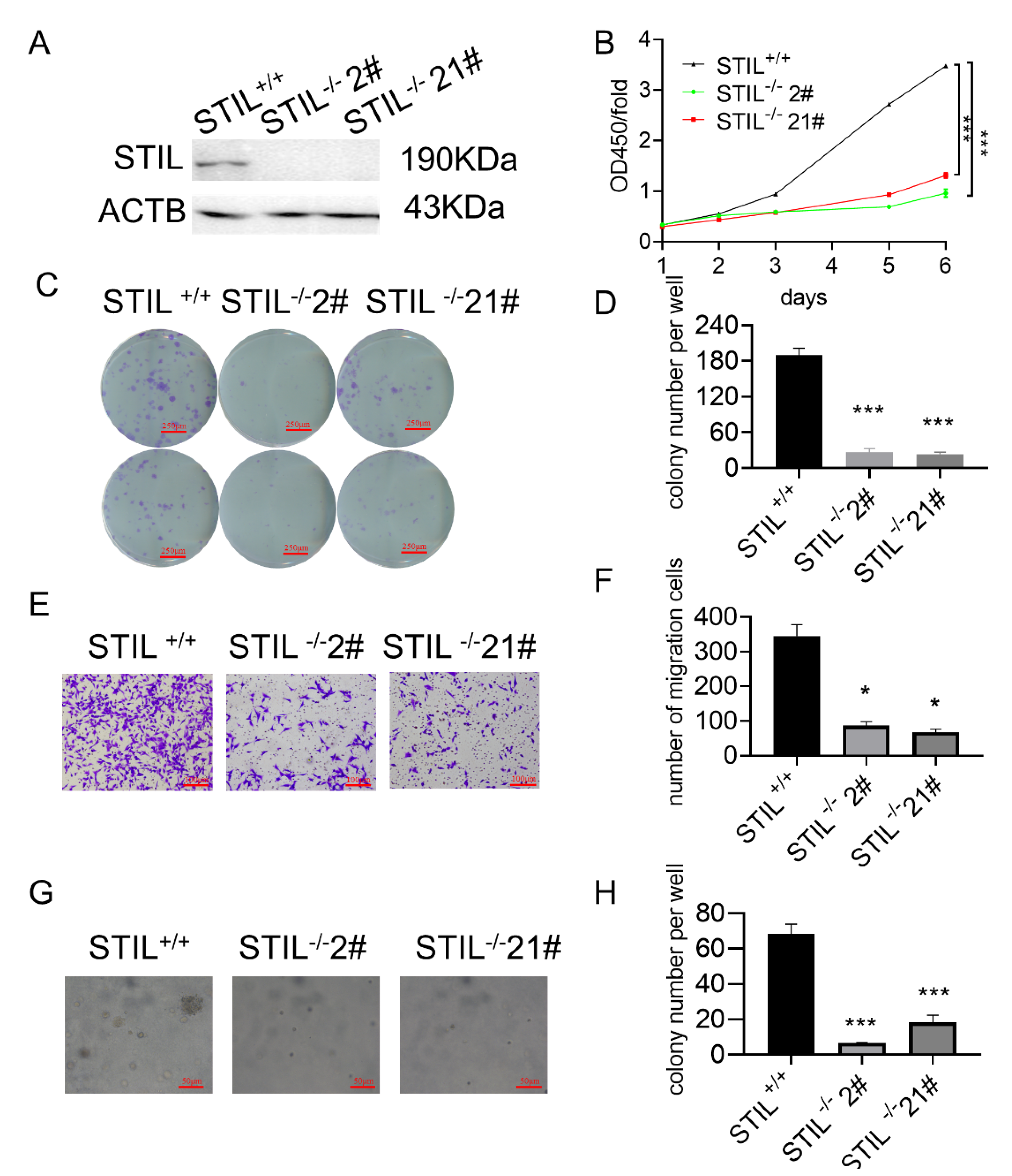 Cancers 14 05777 g003