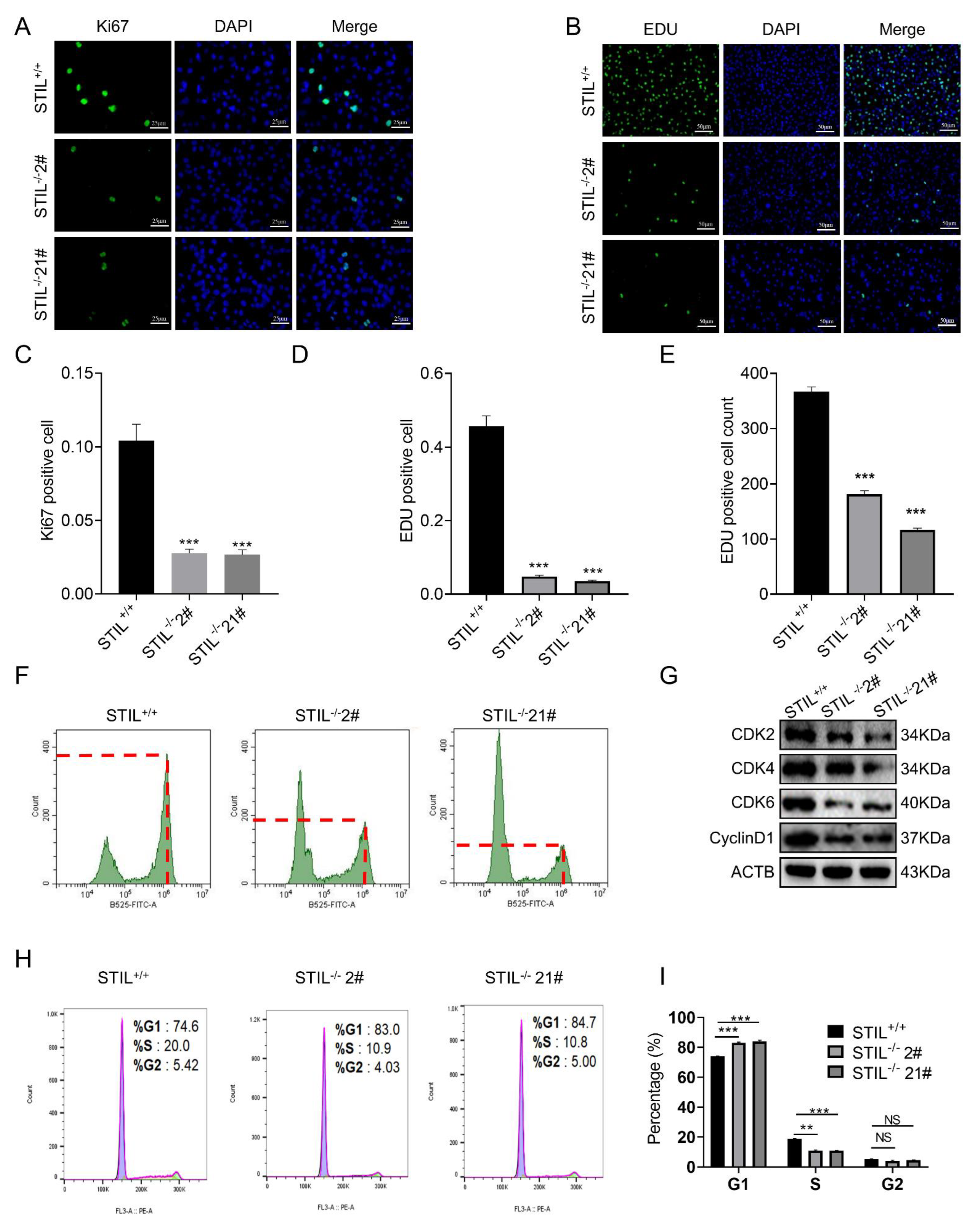 Cancers 14 05777 g004