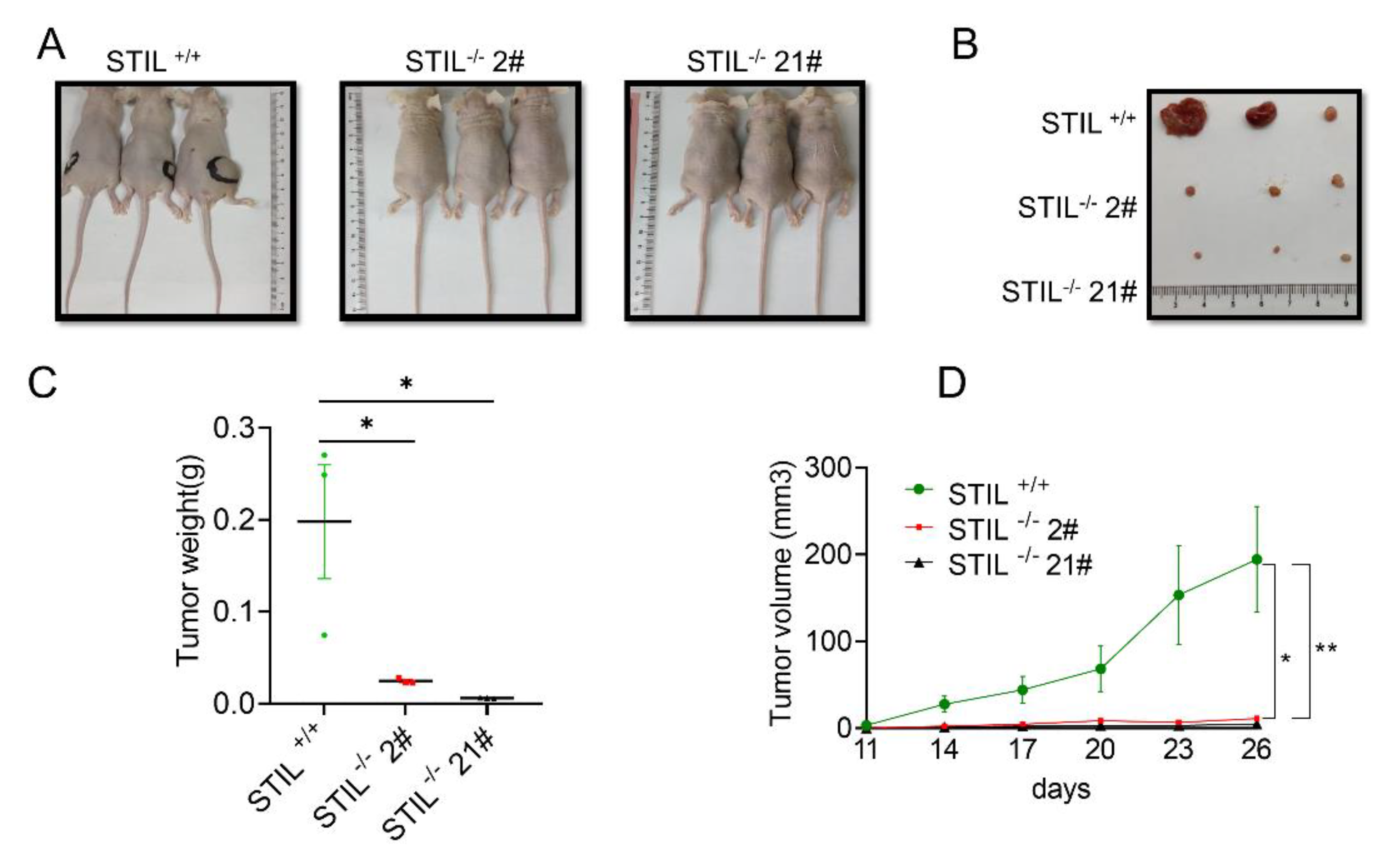 Cancers 14 05777 g005