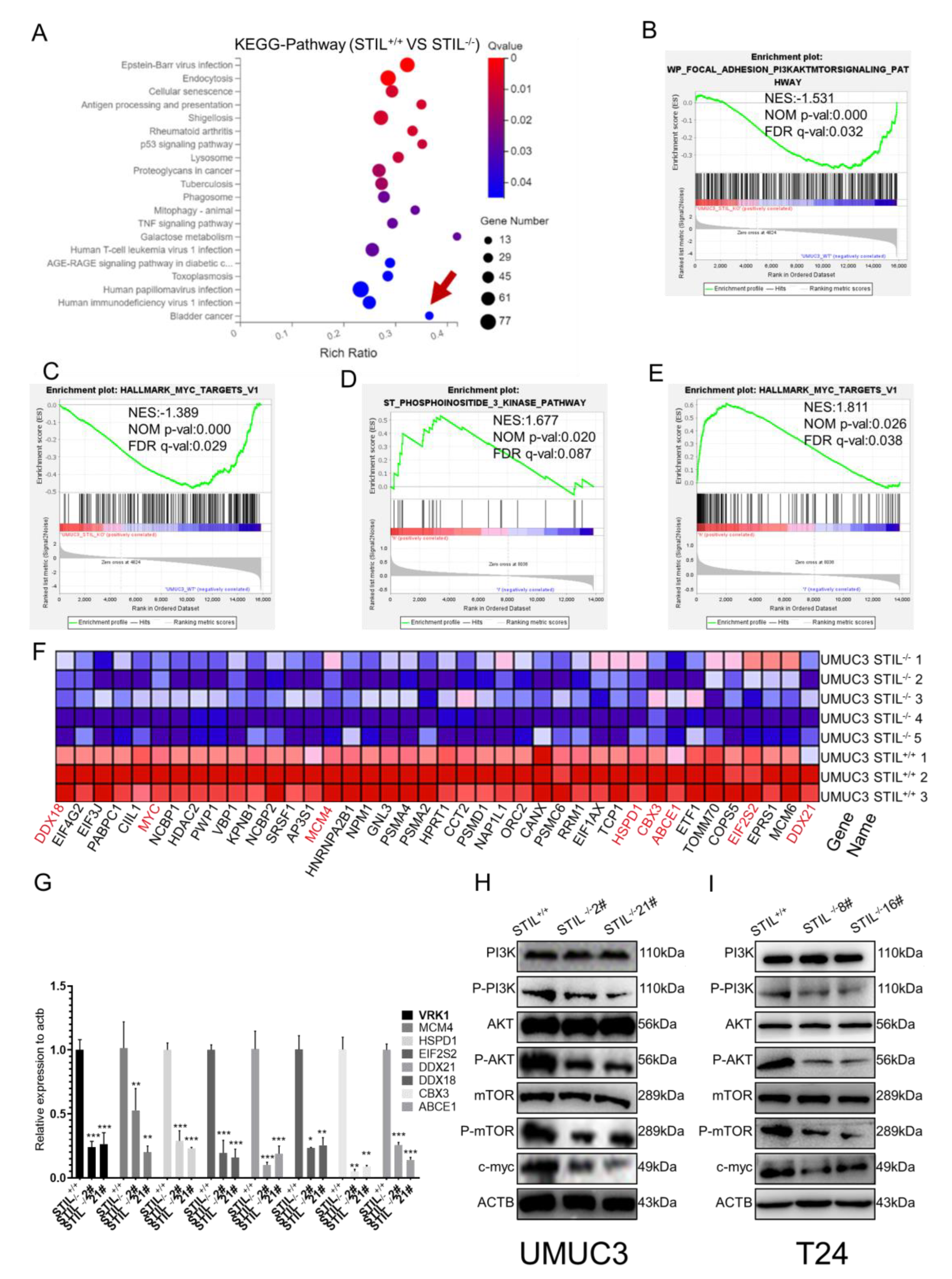 Cancers 14 05777 g006