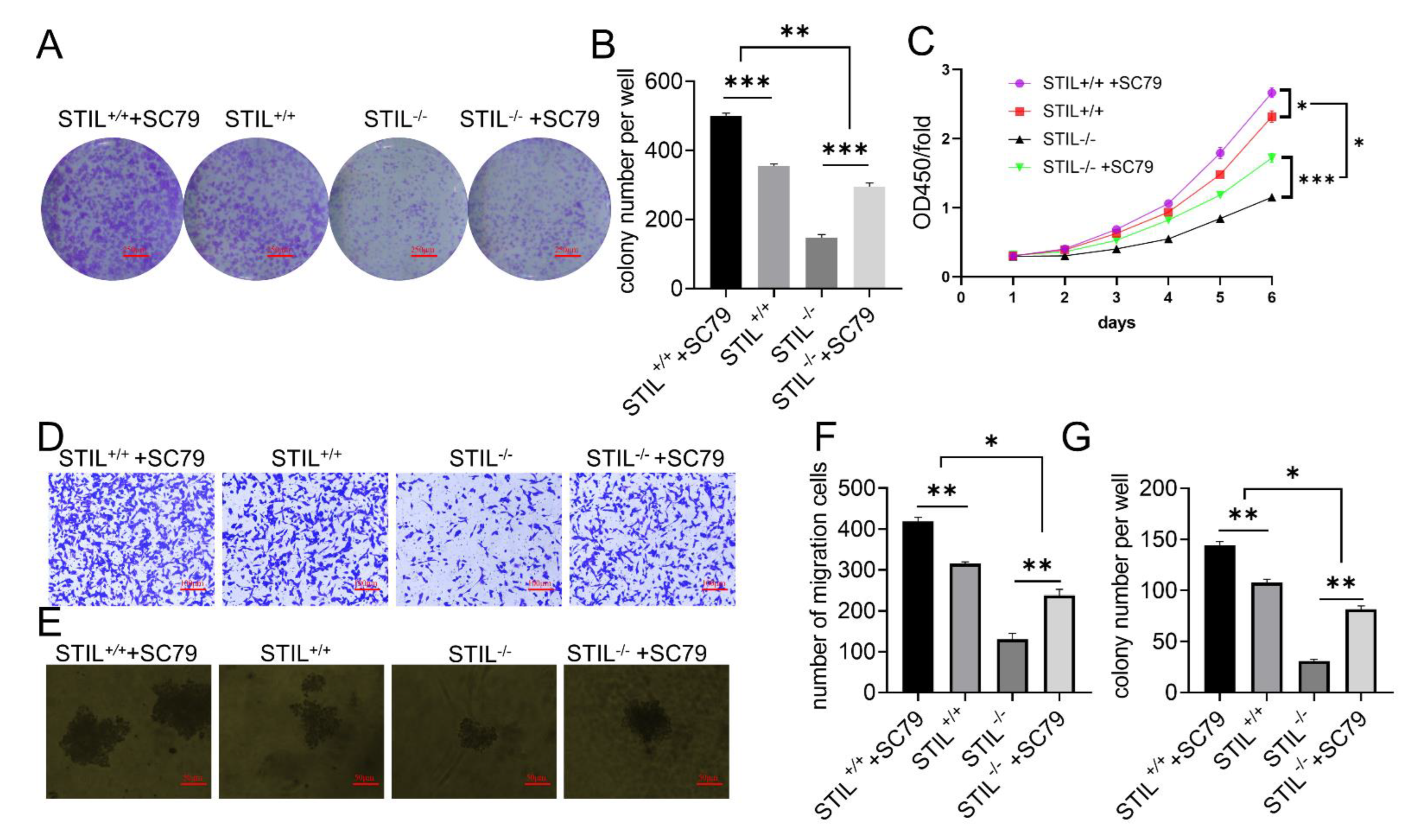 Cancers 14 05777 g007