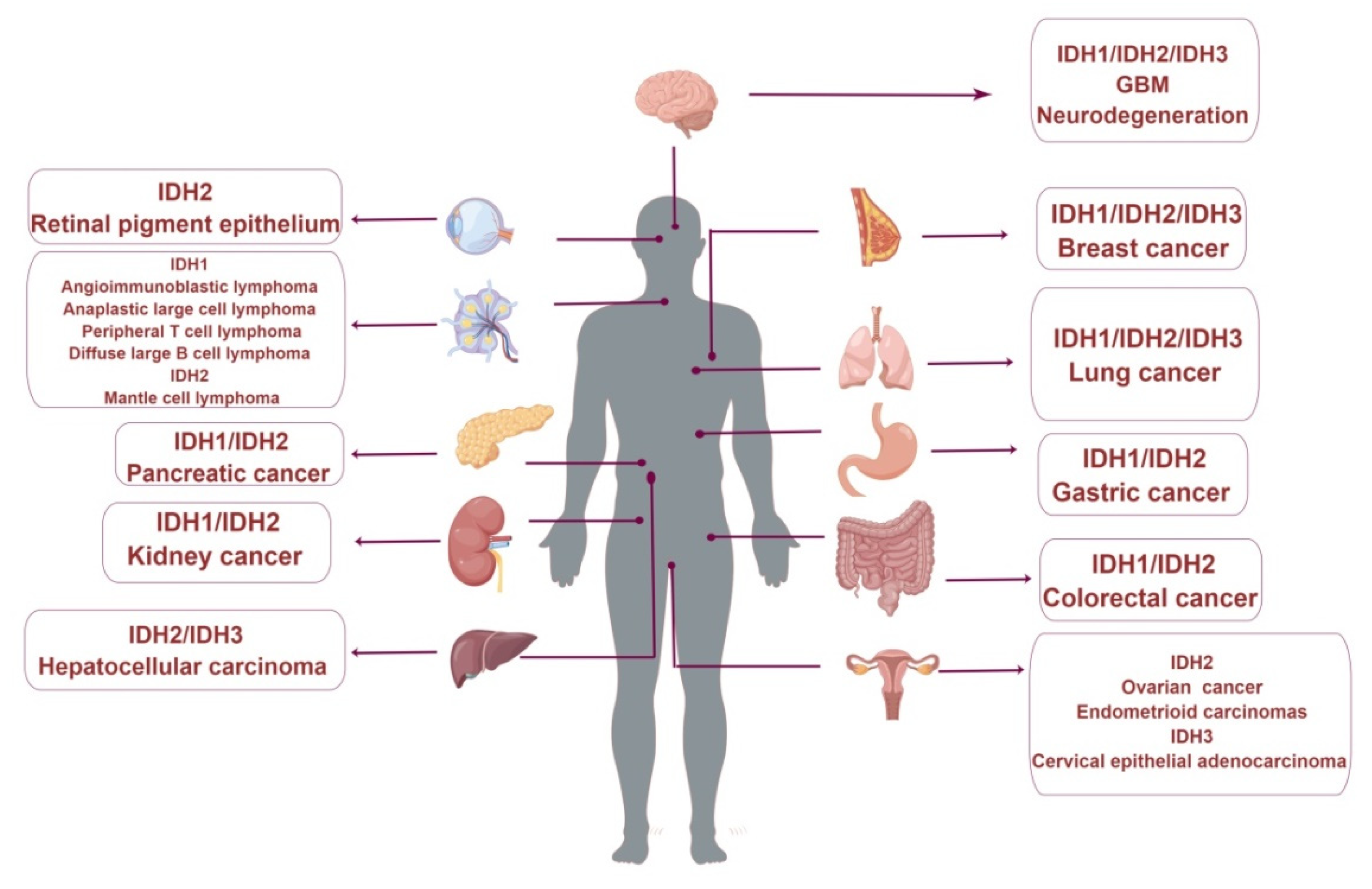 Cancers 14 05779 g003 Cancers 14 05779 g003