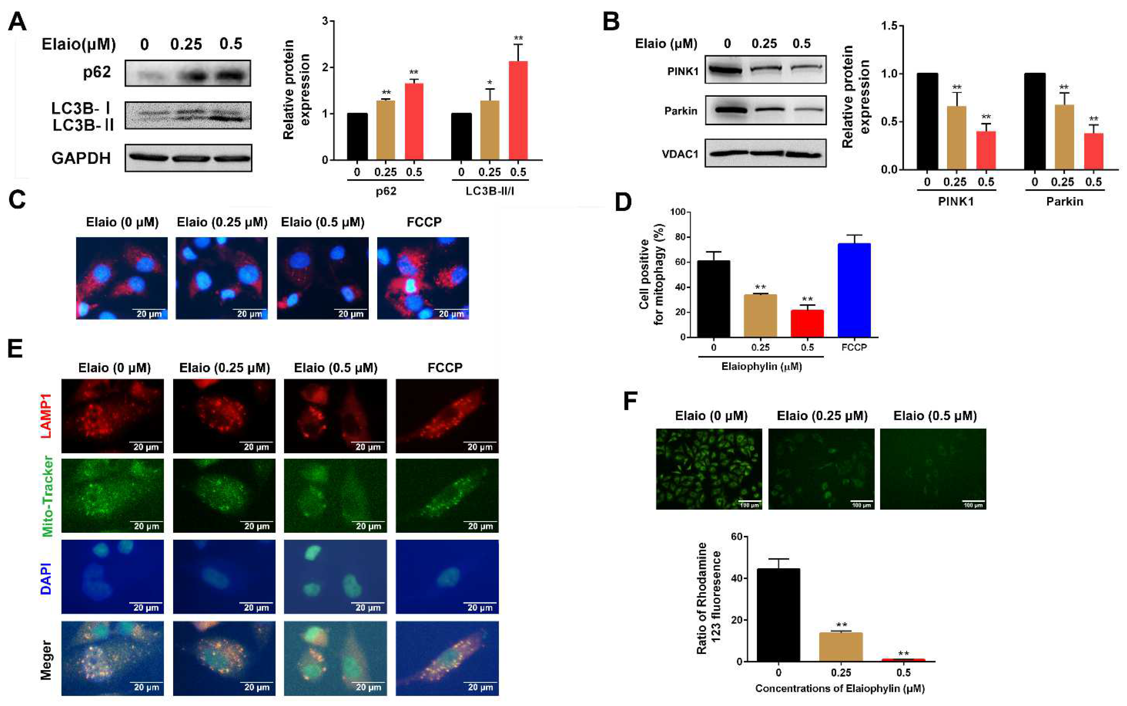 Cancers 14 05812 g003