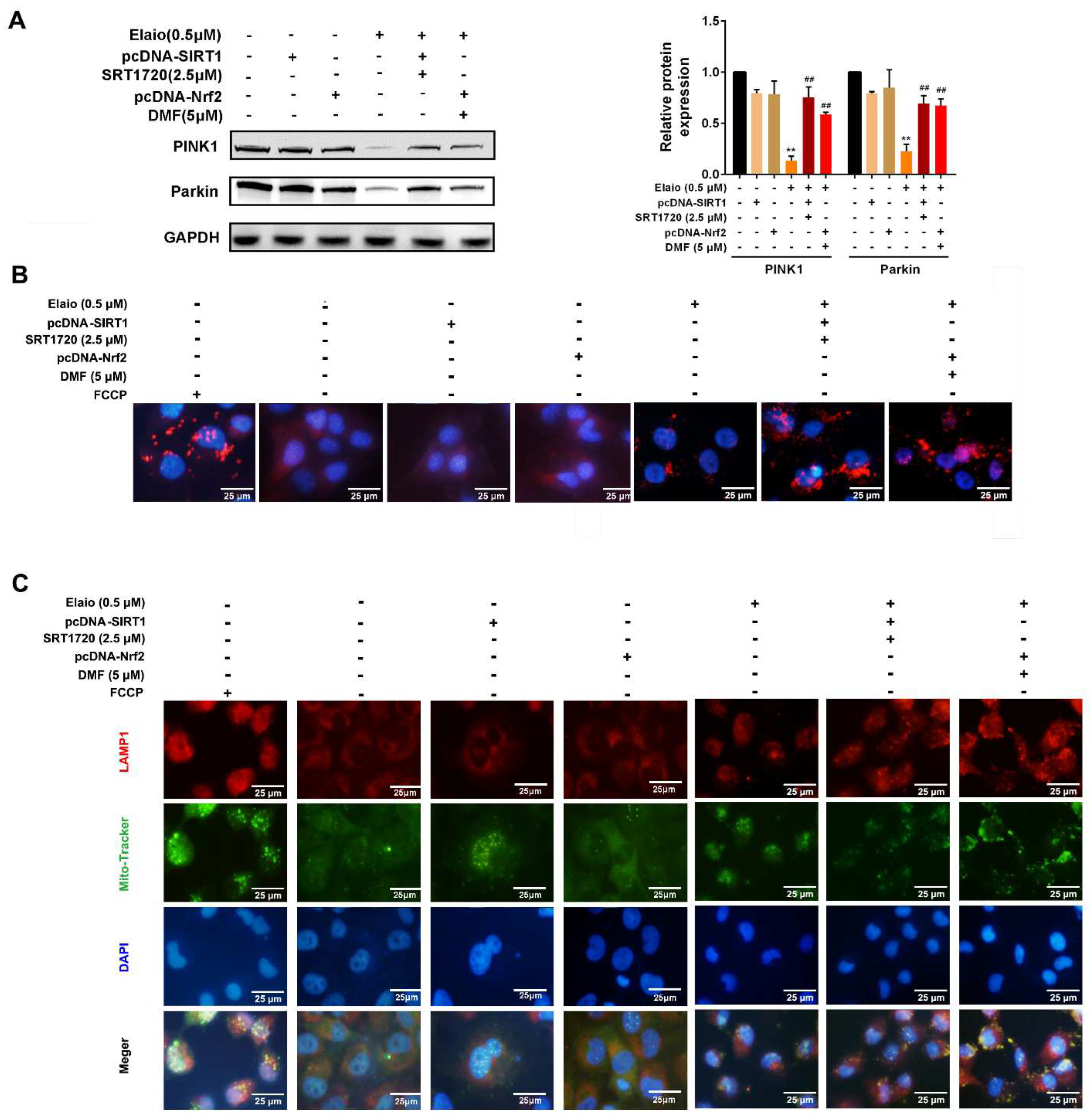 Cancers 14 05812 g006