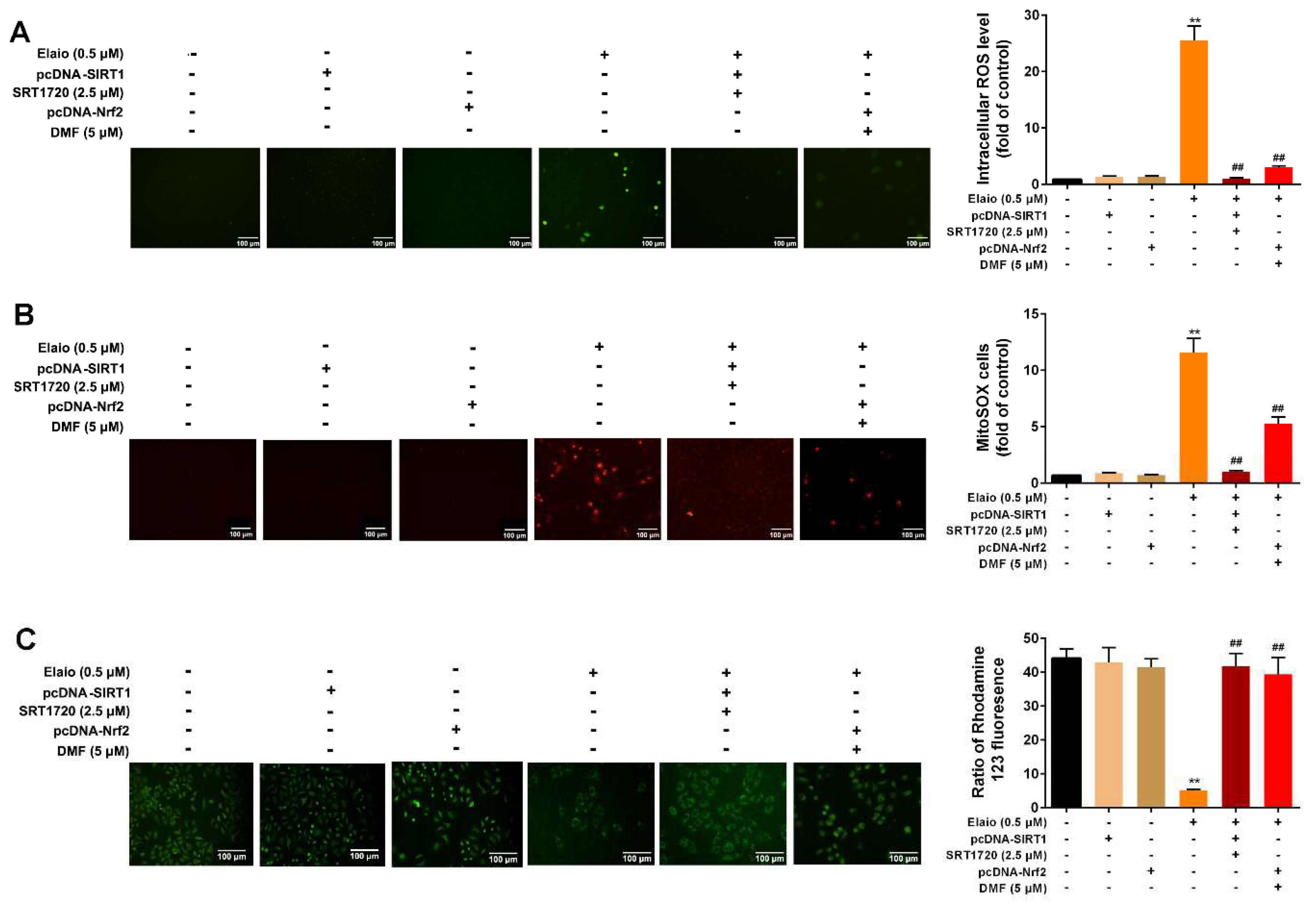Cancers 14 05812 g007