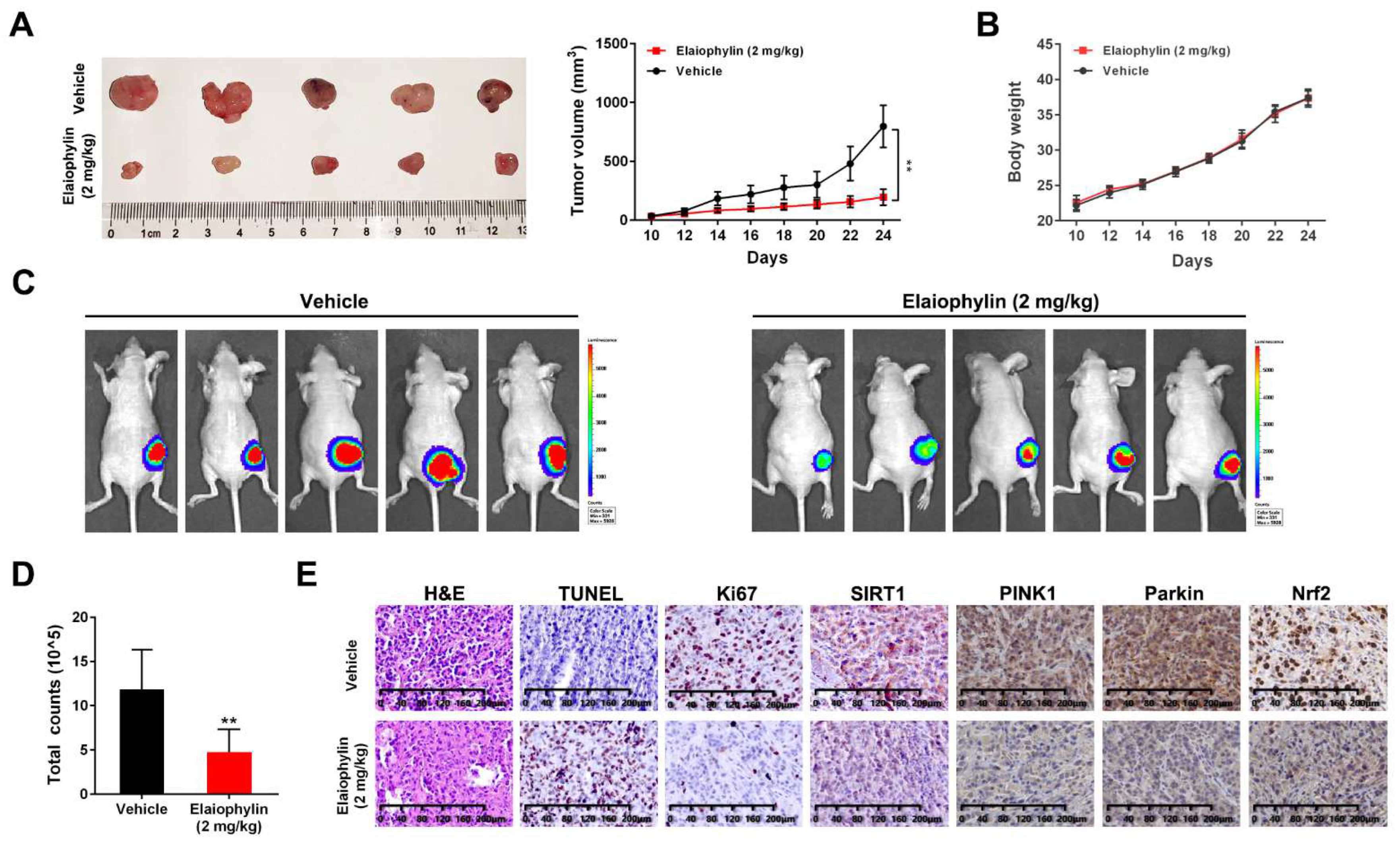 Cancers 14 05812 g008