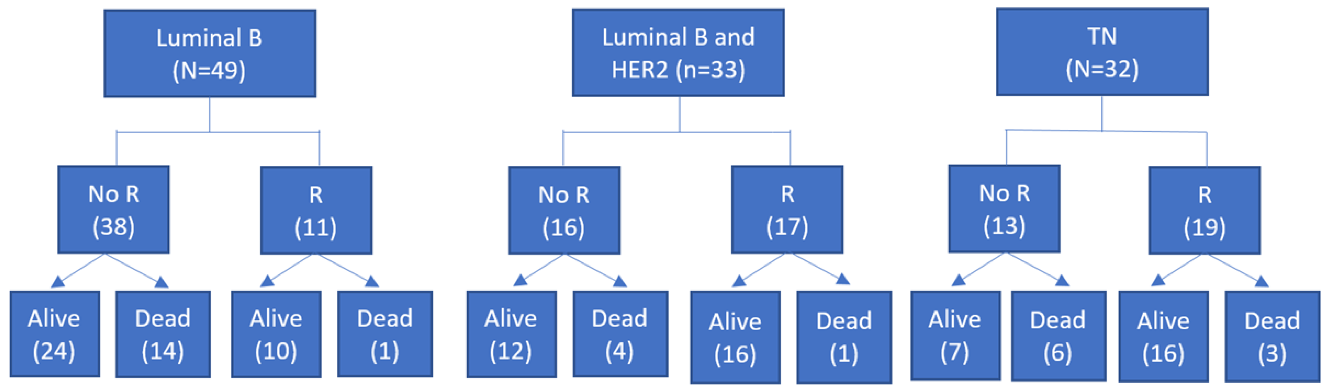 Cancers 14 05869 g003