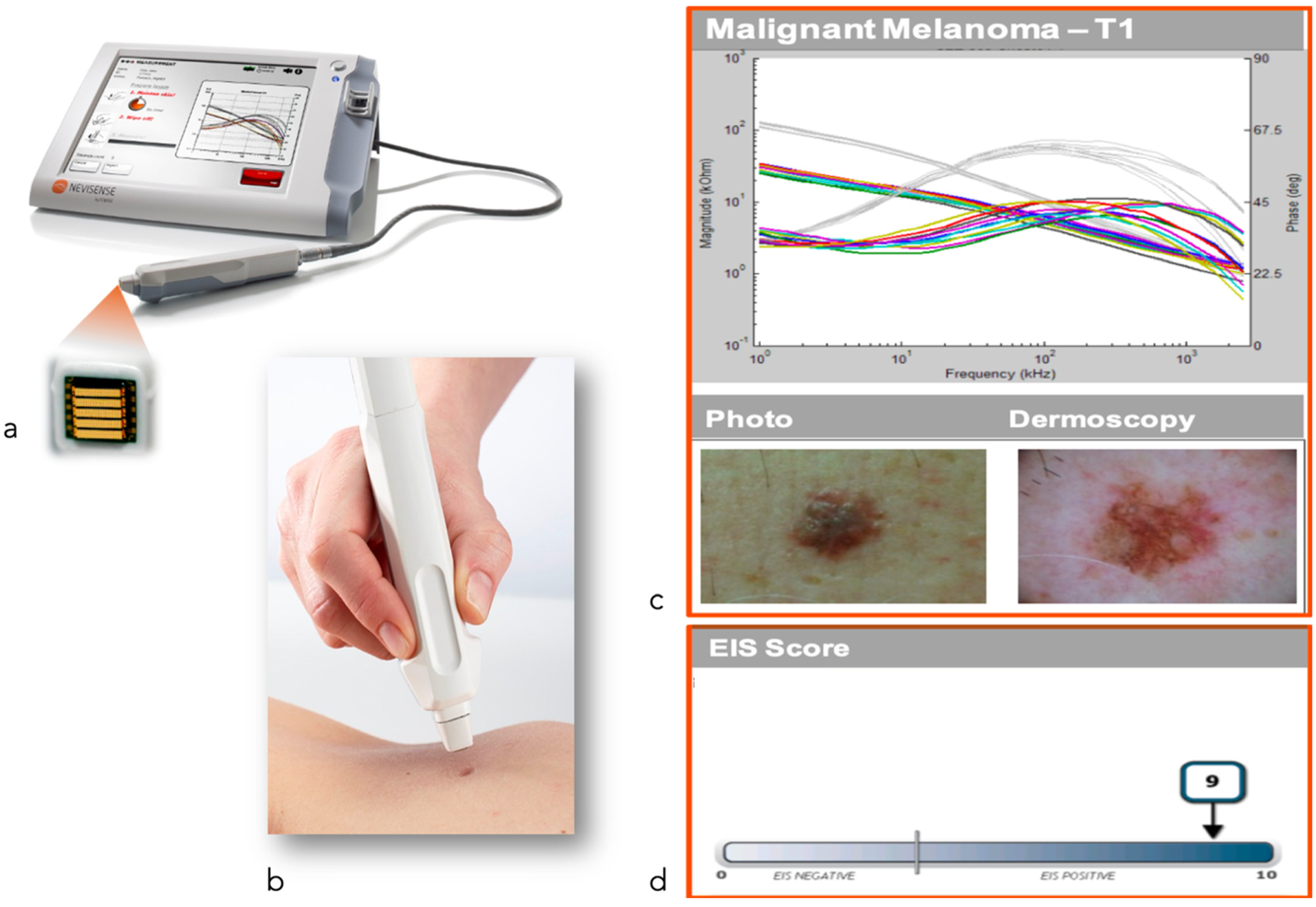 Cancers 14 05886 g013