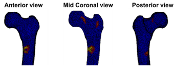 Cancers 14 05904 i004 Cancers 14 05904 i004