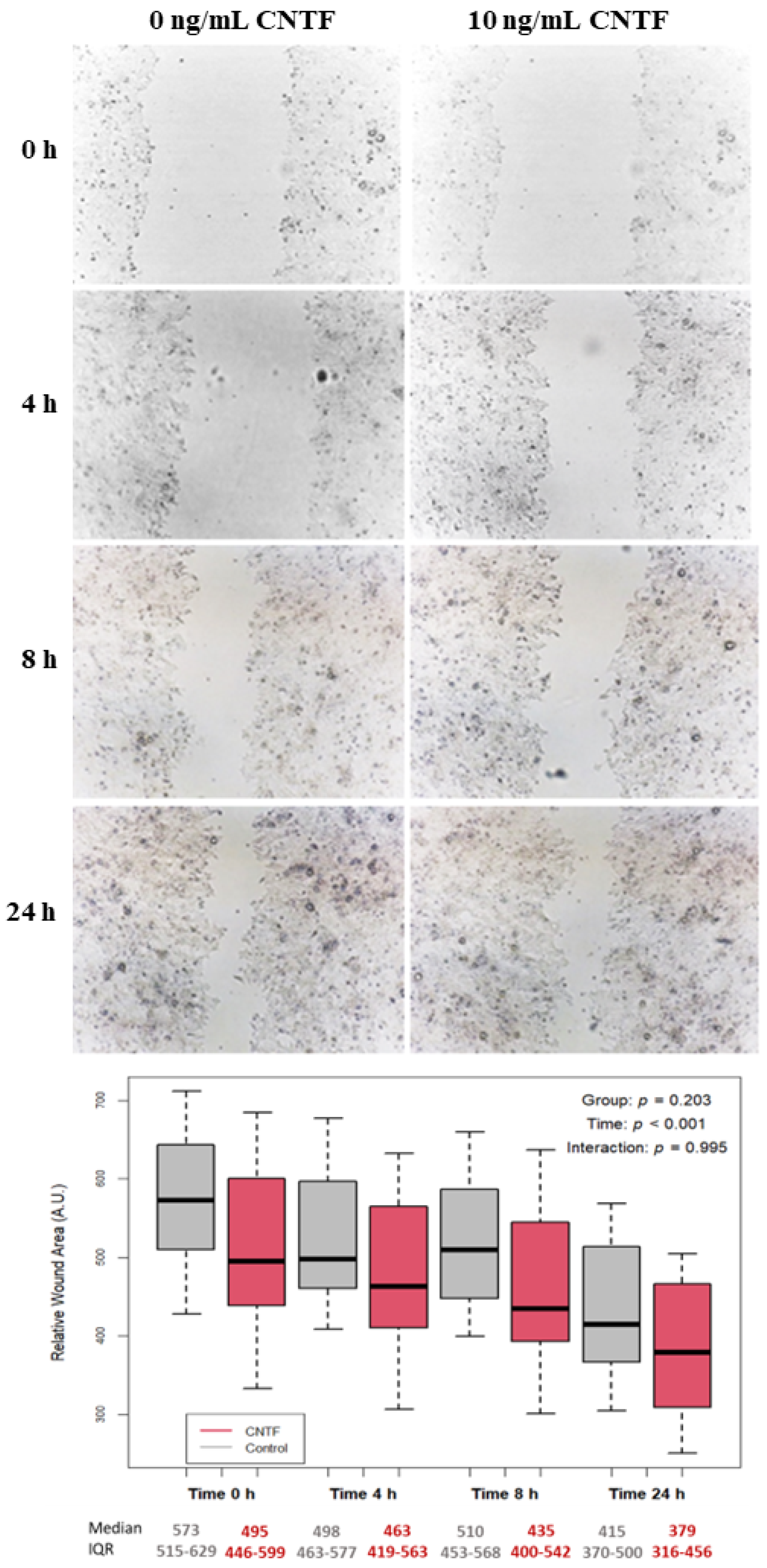 Cancers 14 05917 g005 Cancers 14 05917 g005