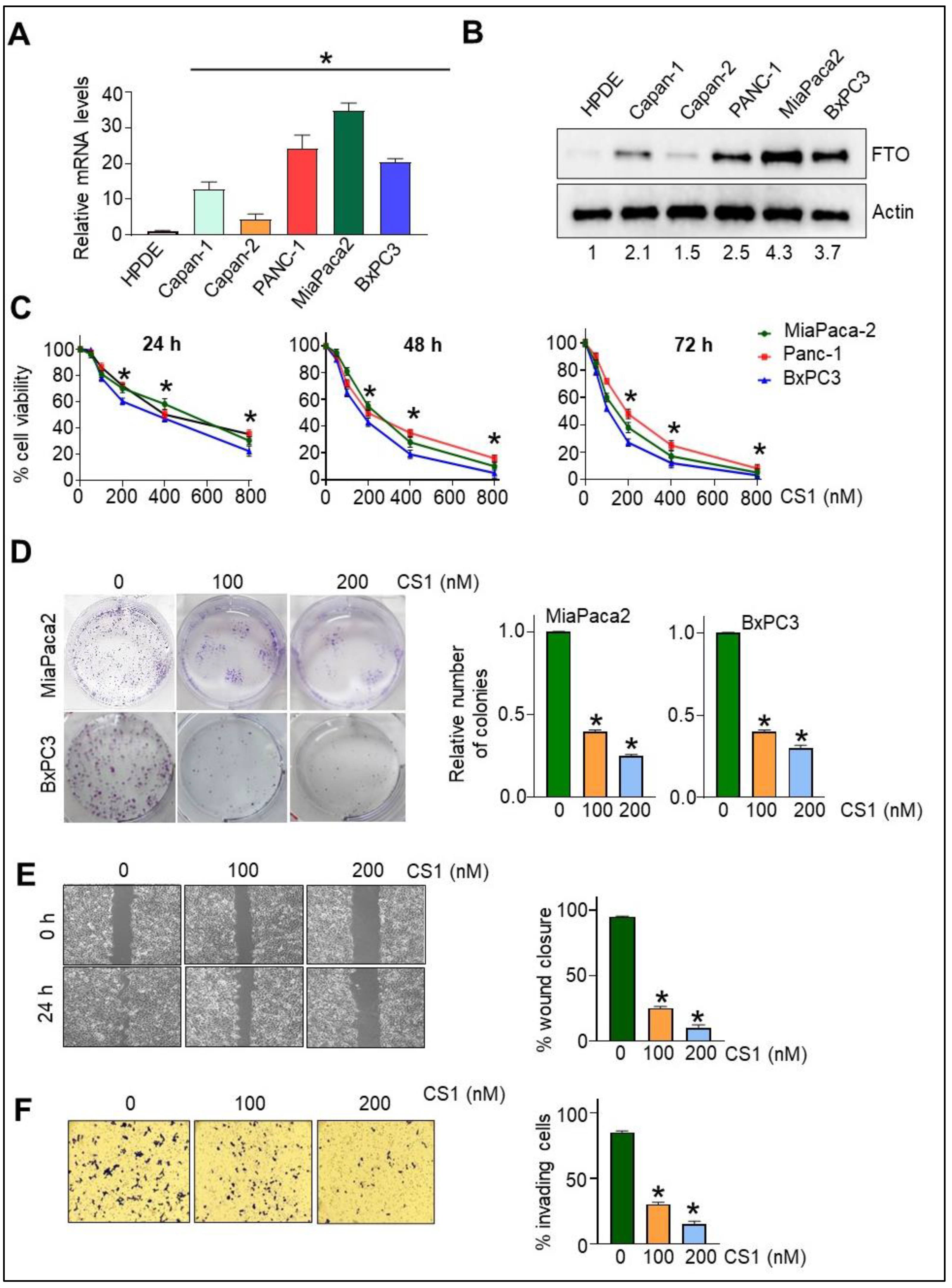 Cancers 14 05919 g001