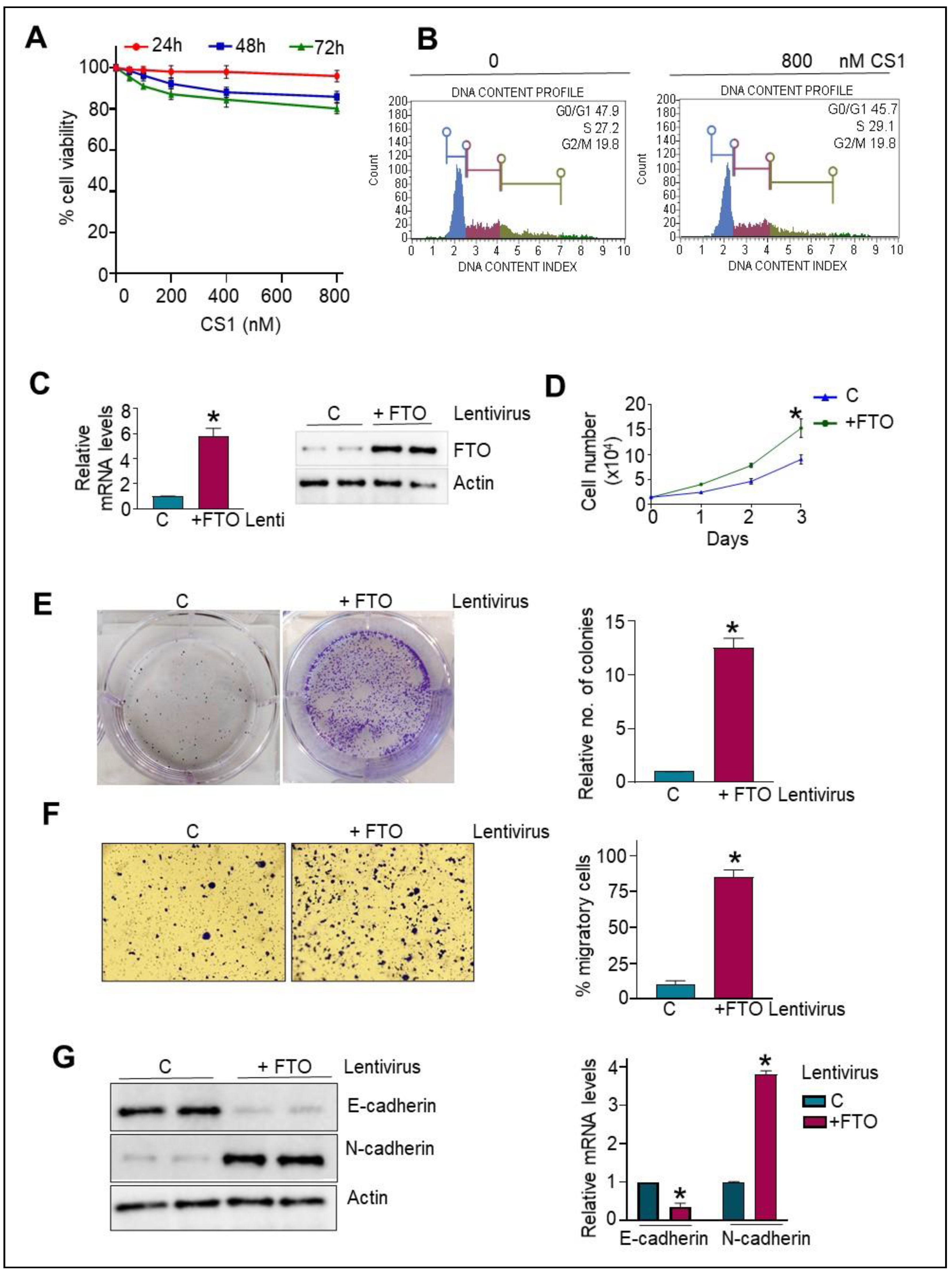 Cancers 14 05919 g002