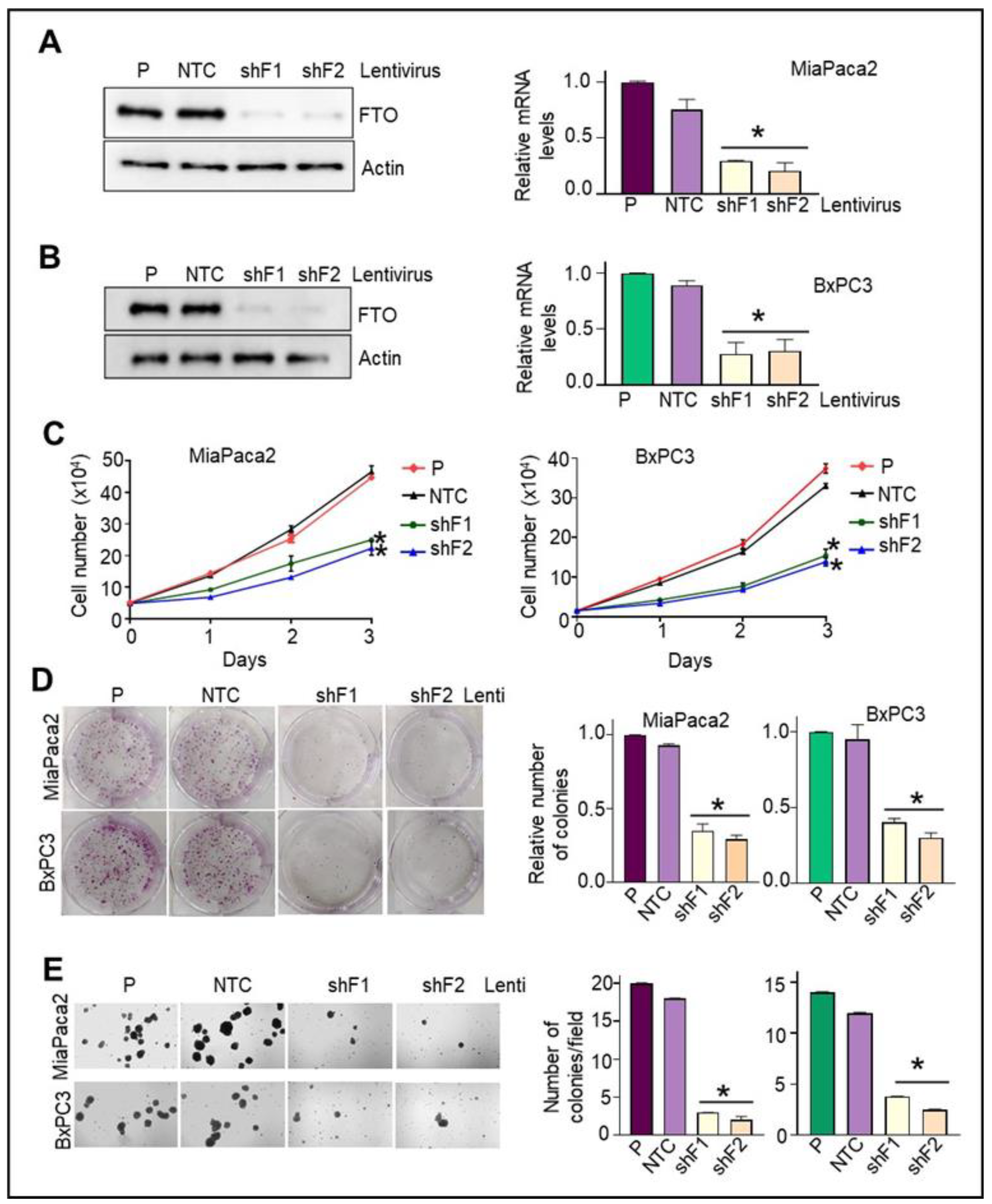 Cancers 14 05919 g003