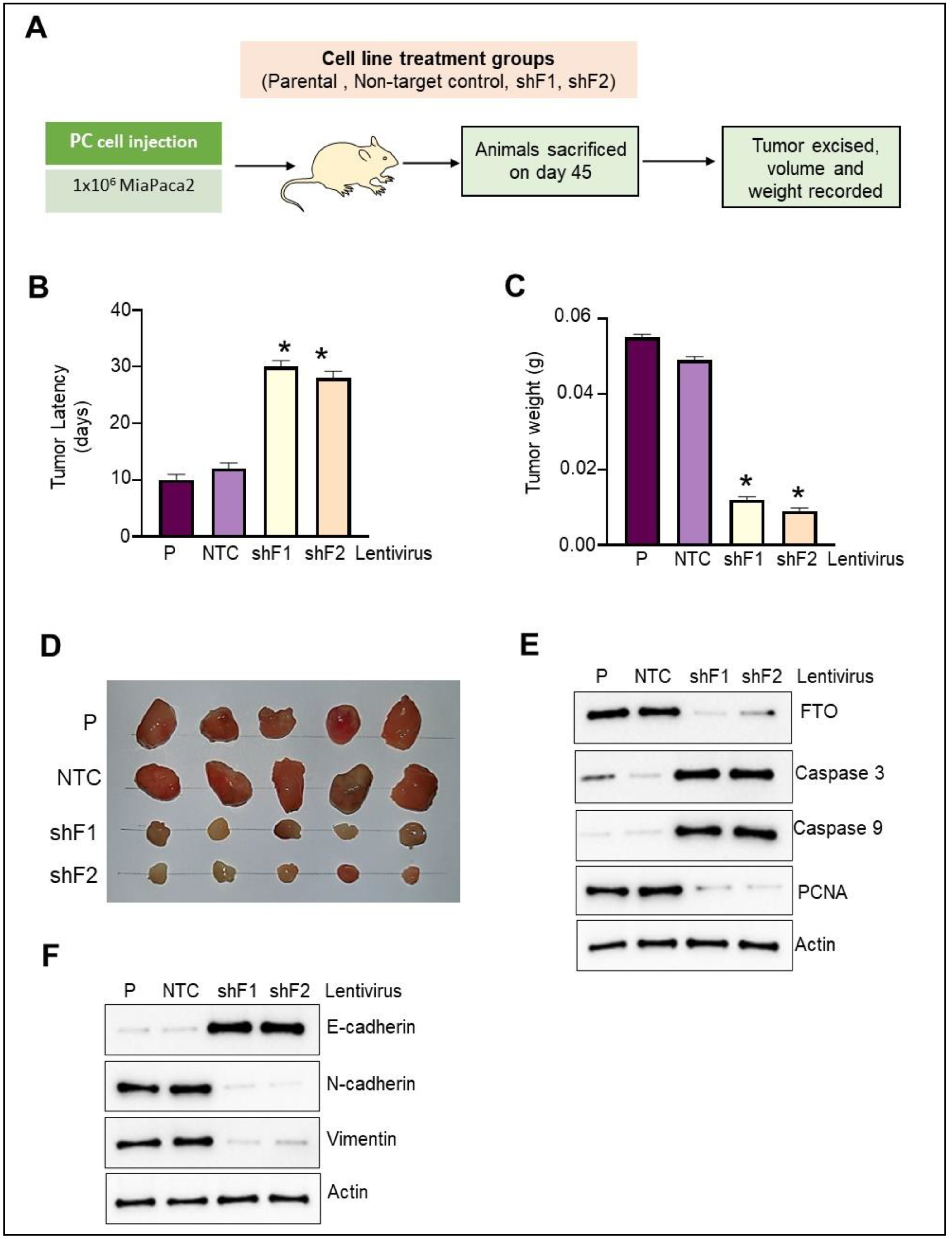 Cancers 14 05919 g006