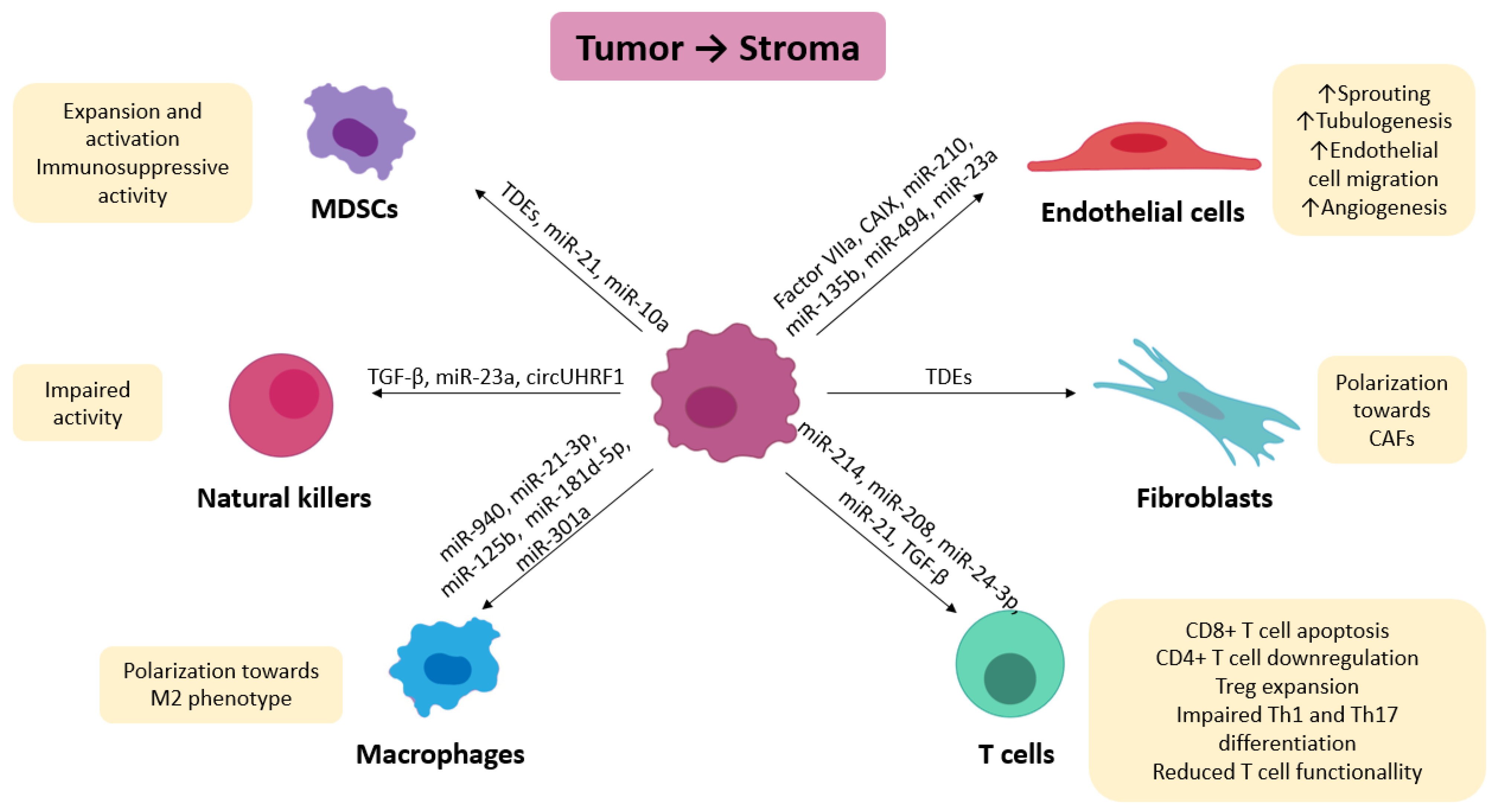 Cancers 14 05930 g002 Cancers 14 05930 g002