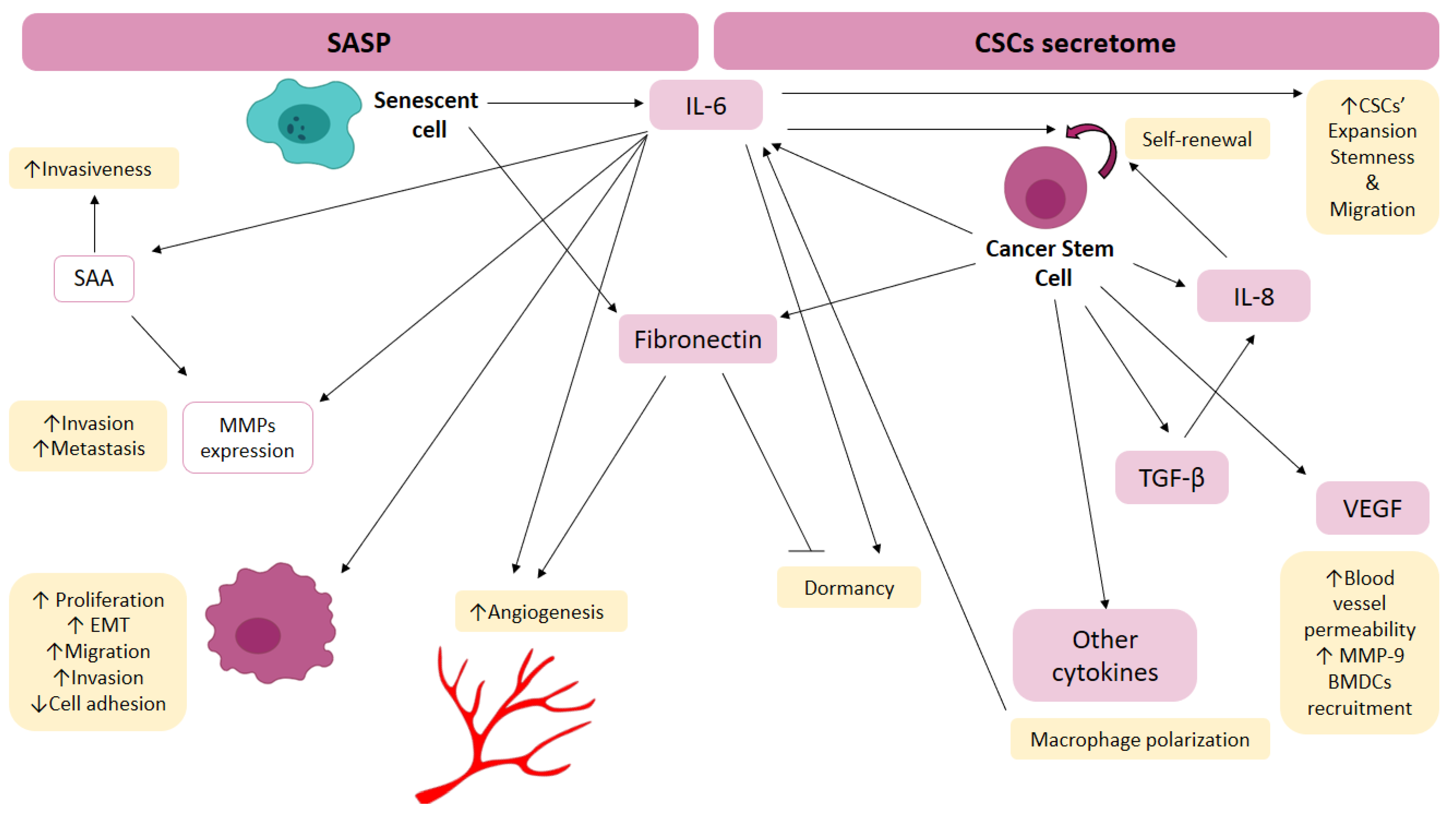 Cancers 14 05930 g003 Cancers 14 05930 g003
