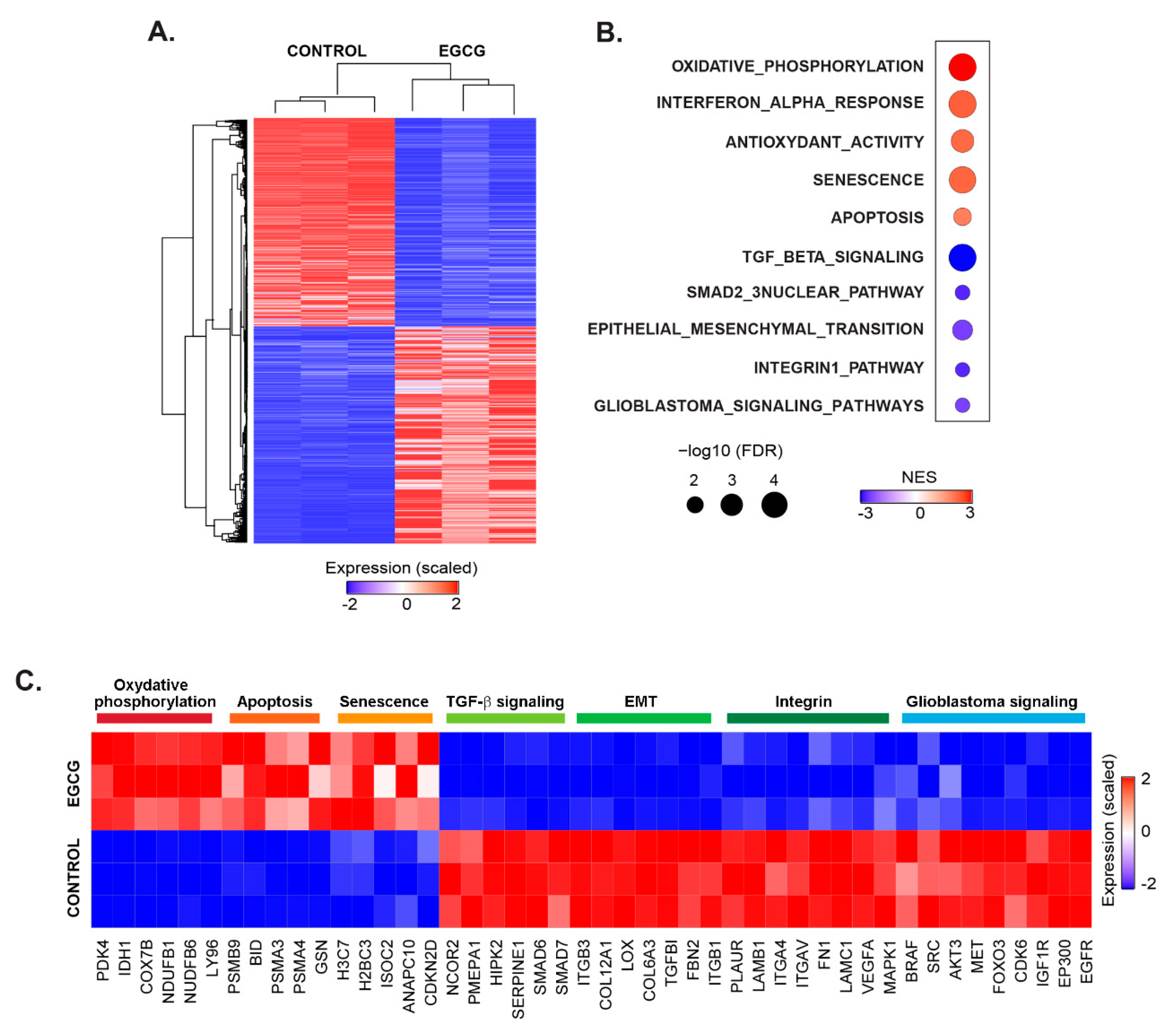 Cancers 14 05944 g002 Cancers 14 05944 g002