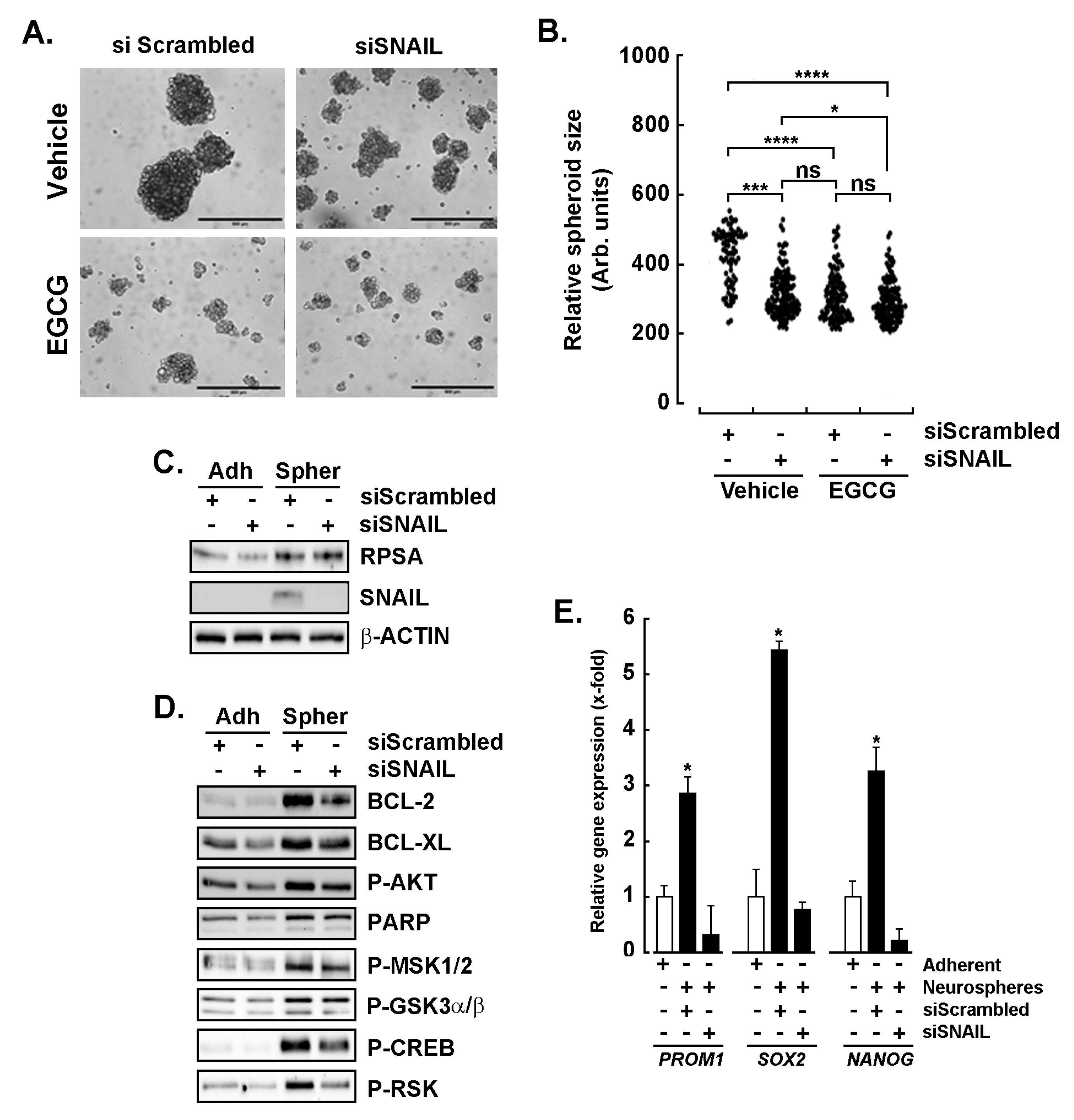 Cancers 14 05944 g005 Cancers 14 05944 g005