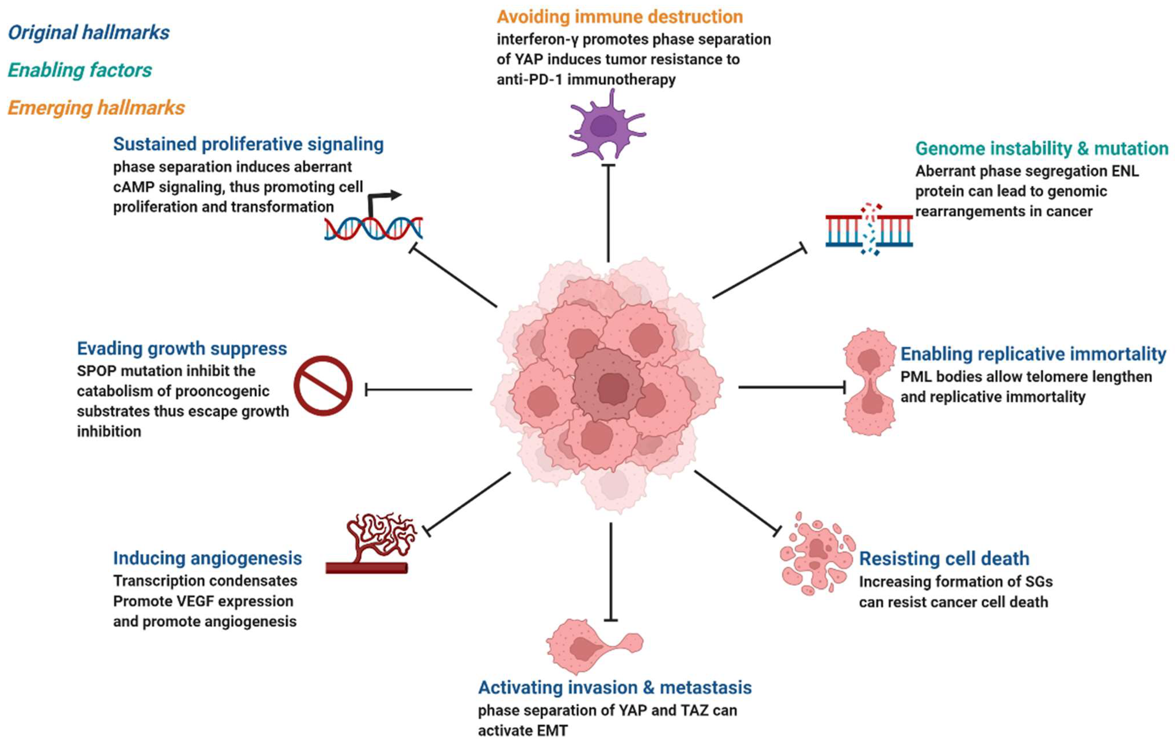 Cancers 14 05971 g003