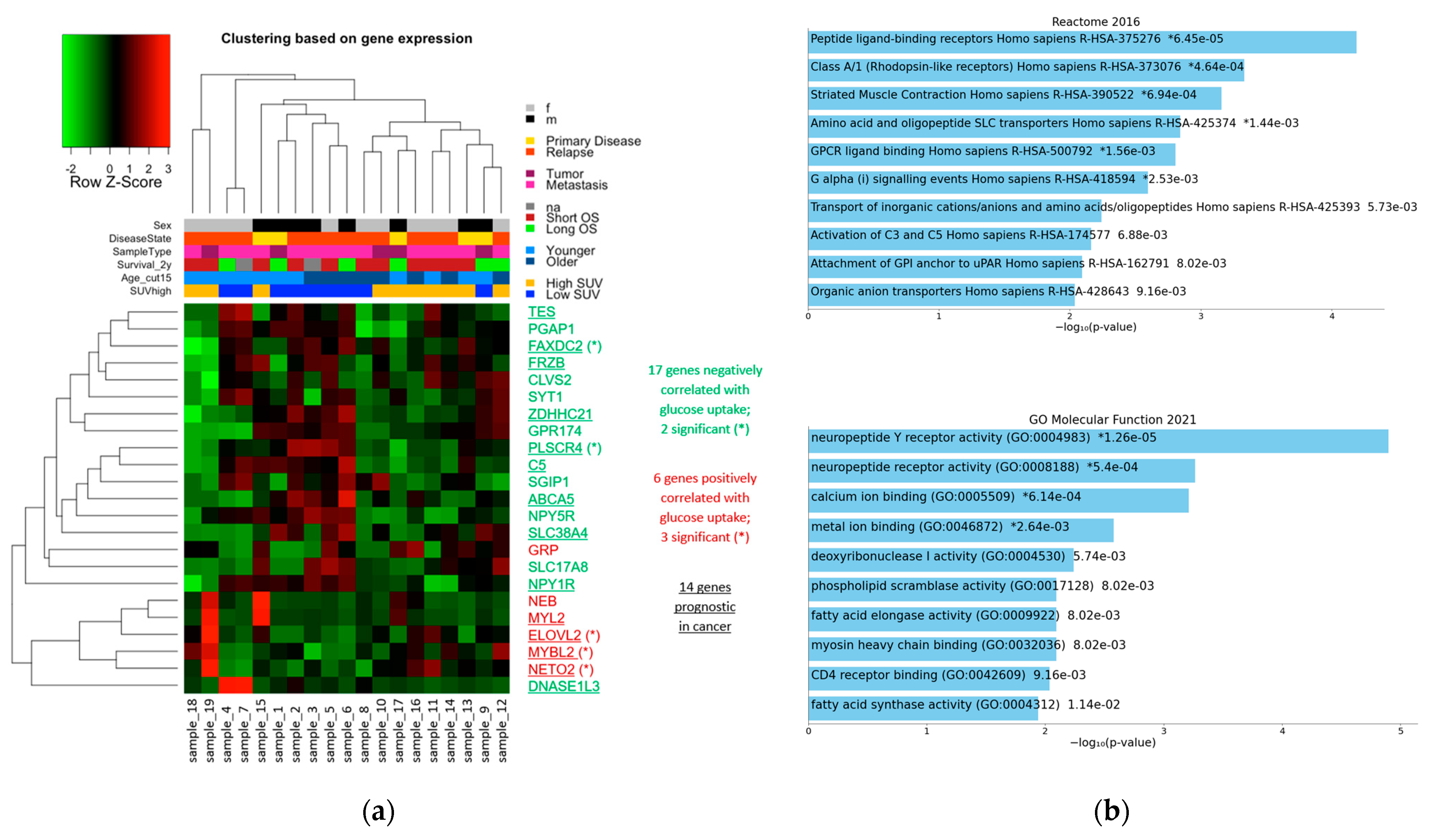 Cancers 14 05999 g005 Cancers 14 05999 g005