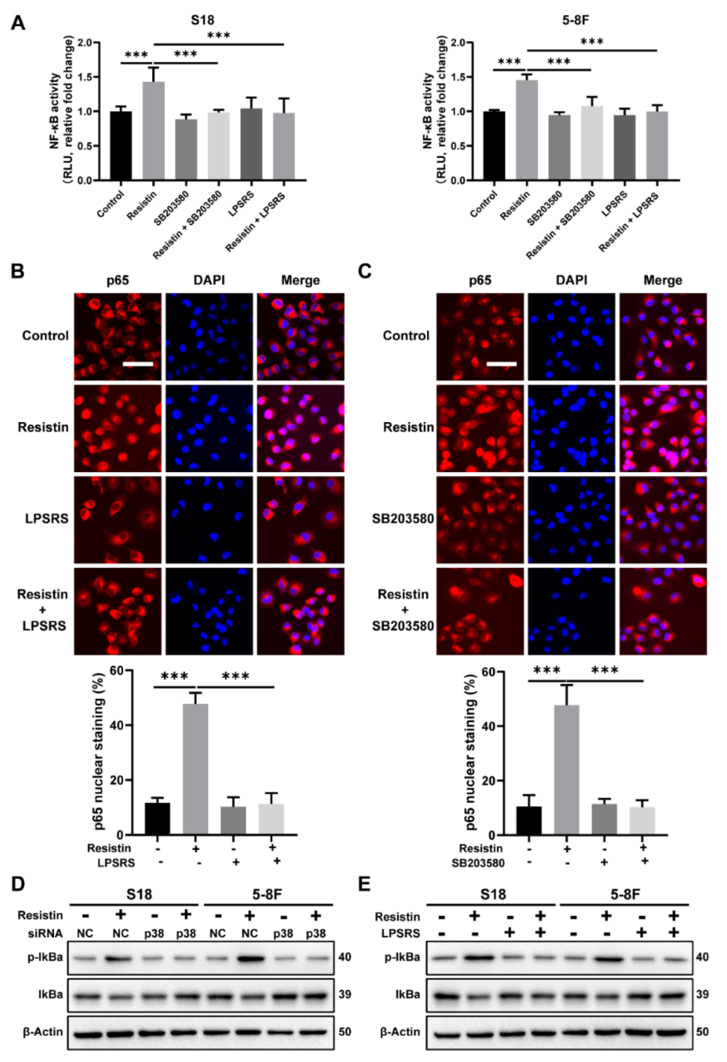 Cancers 14 06003 g006 Cancers 14 06003 g006