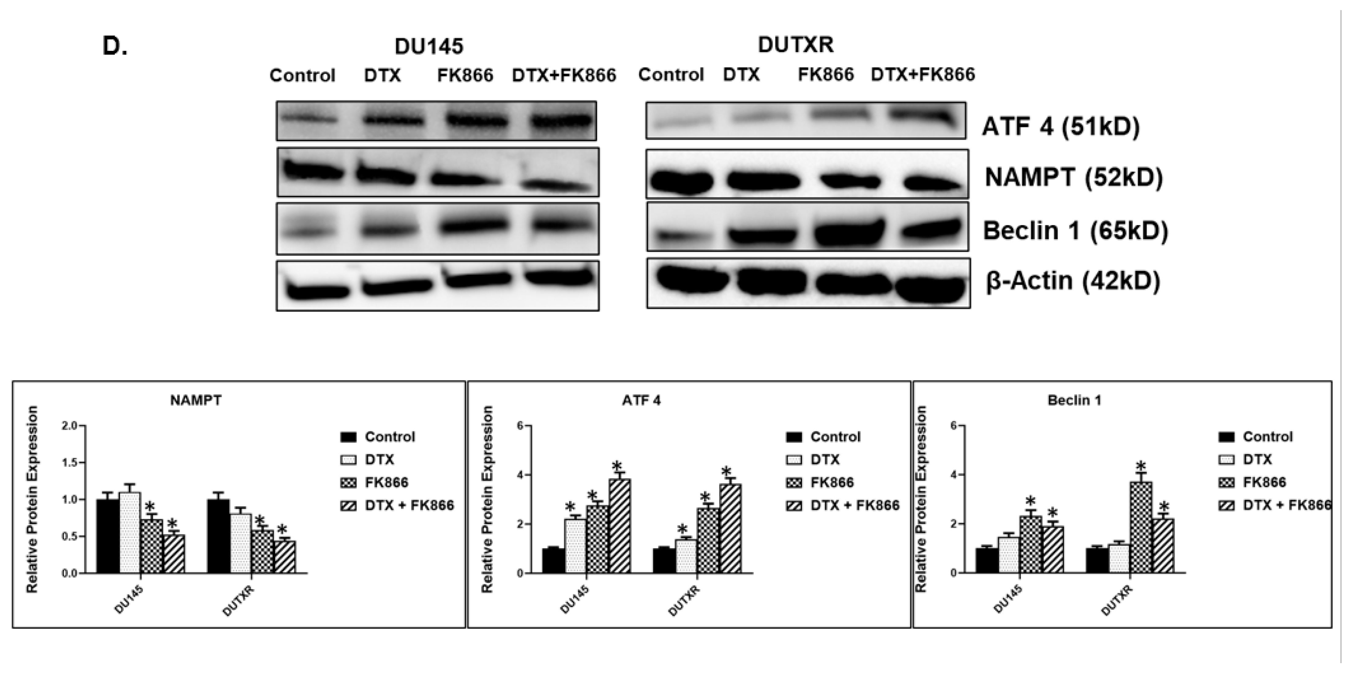Cancers 14 06009 g009b Cancers 14 06009 g009b