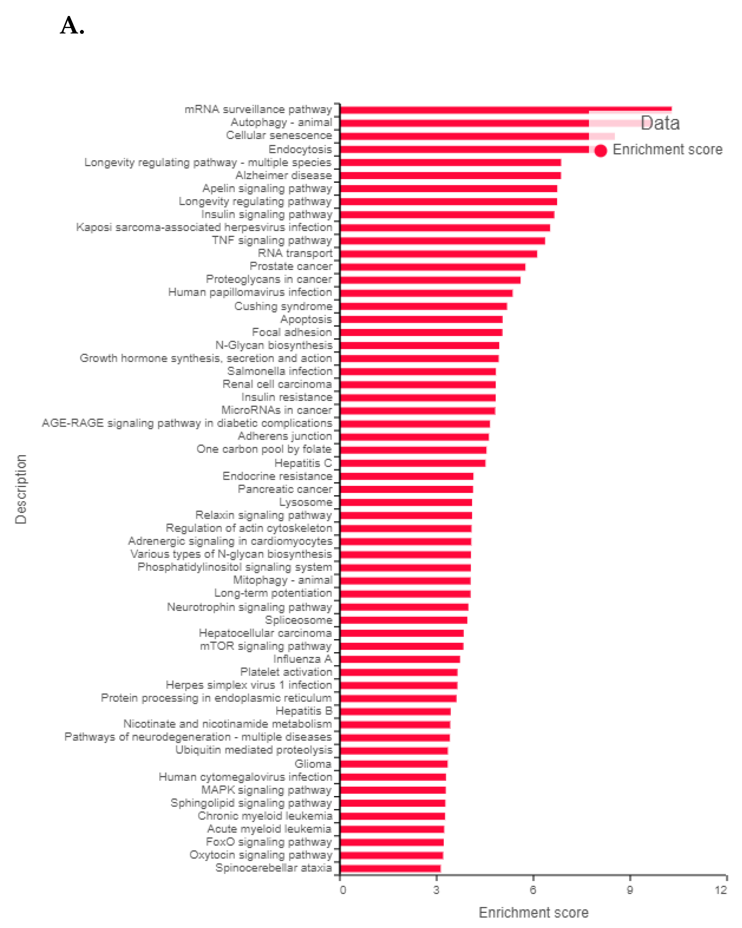 Cancers 14 06009 g010a Cancers 14 06009 g010a