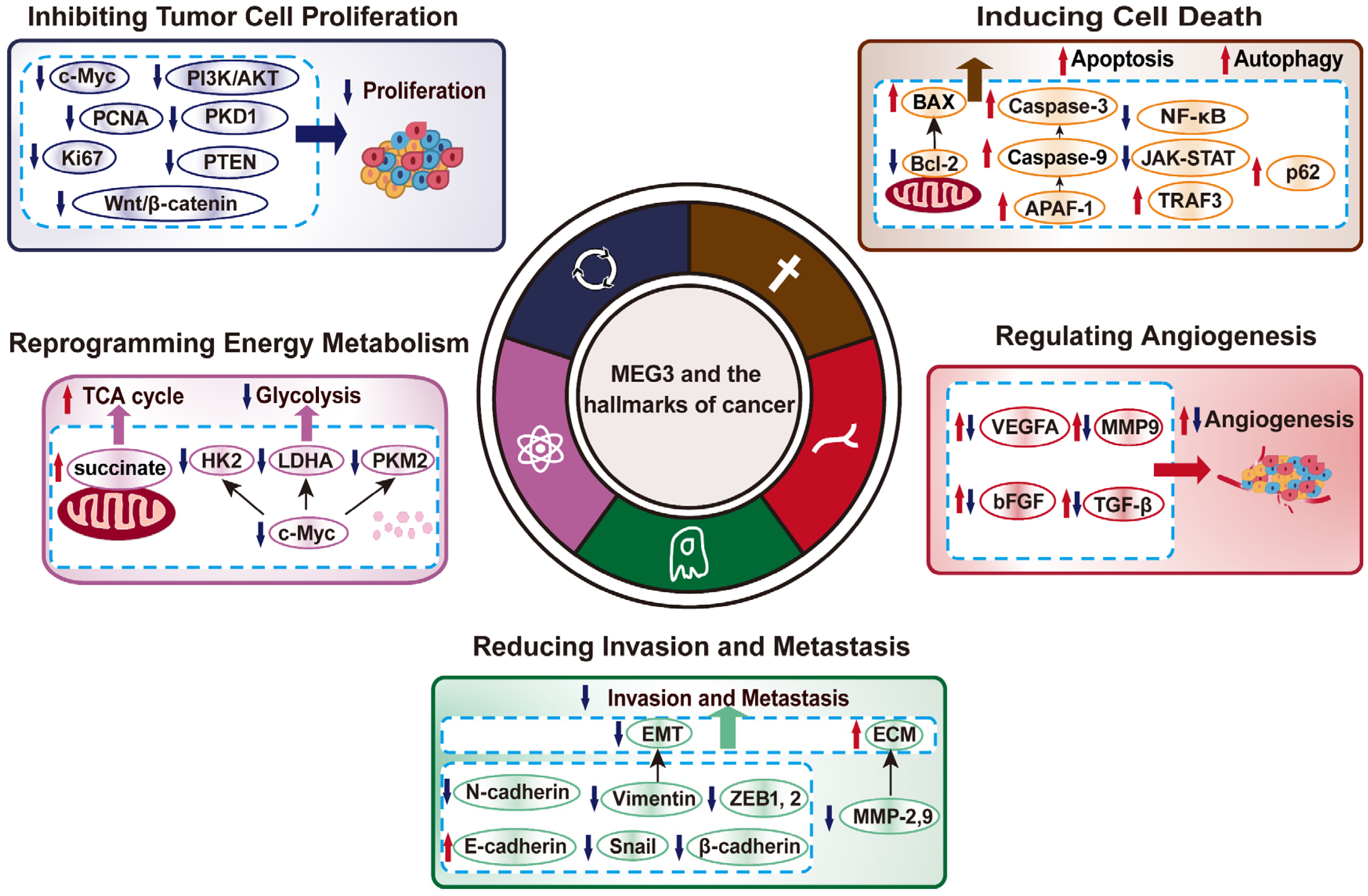 Cancers 14 06032 g003 Cancers 14 06032 g003