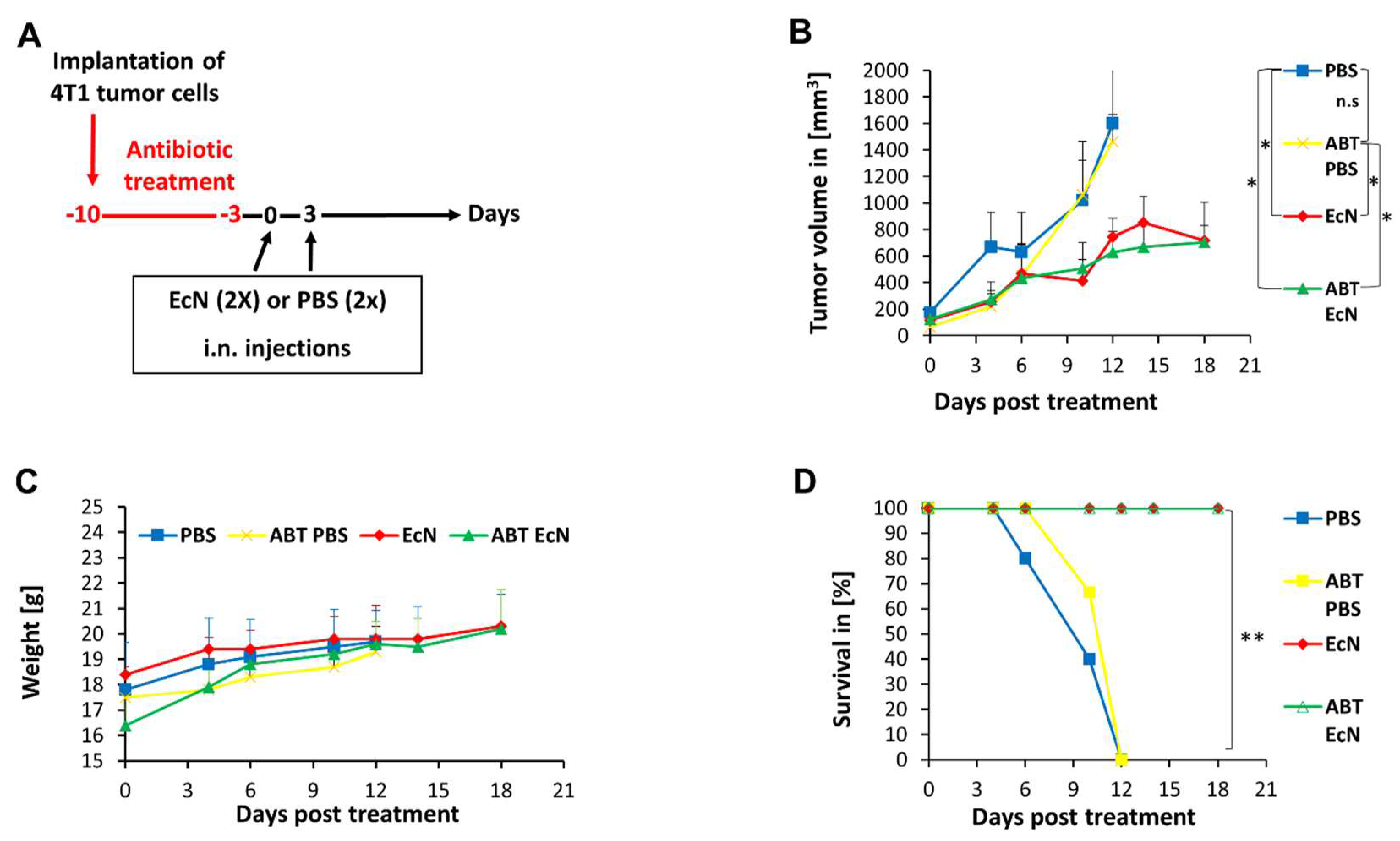 cancers-free-full-text-tumor-colonization-and-therapy-by-free-hot