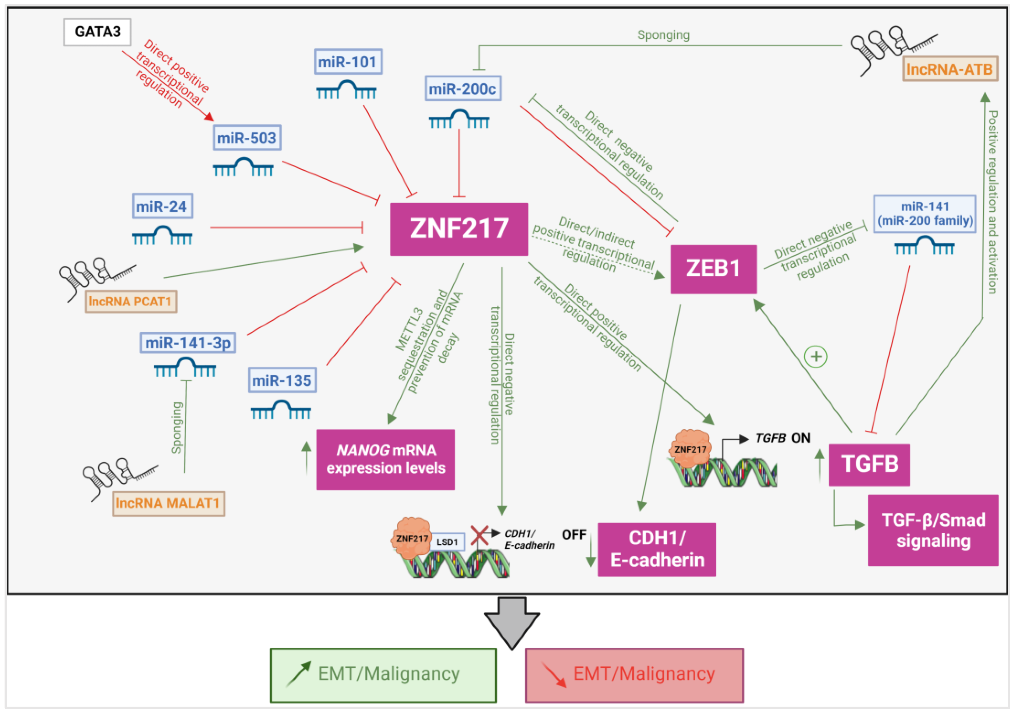 Cancers 14 06043 g003 Cancers 14 06043 g003