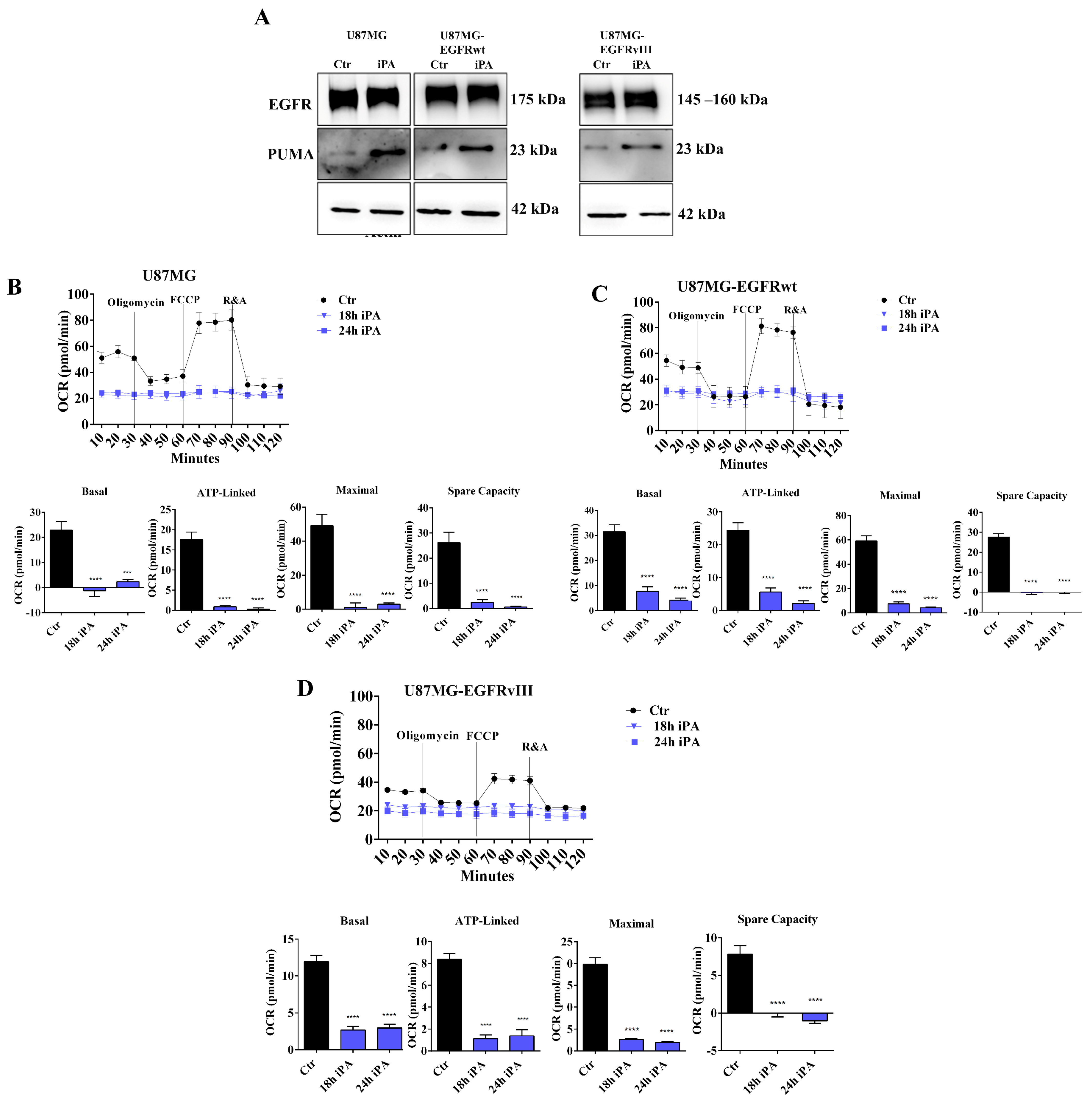 Cancers 14 06044 g001