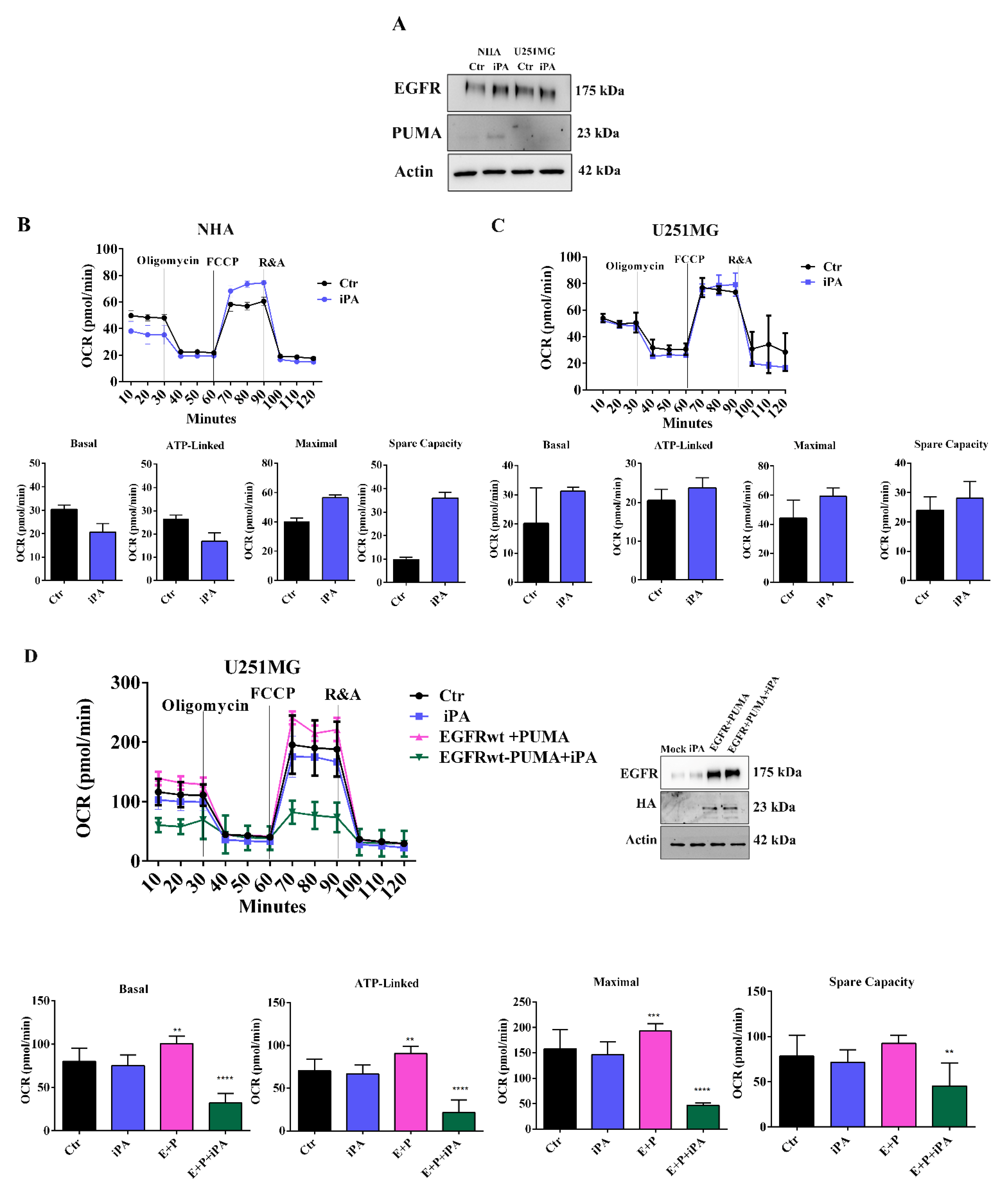 Cancers 14 06044 g002