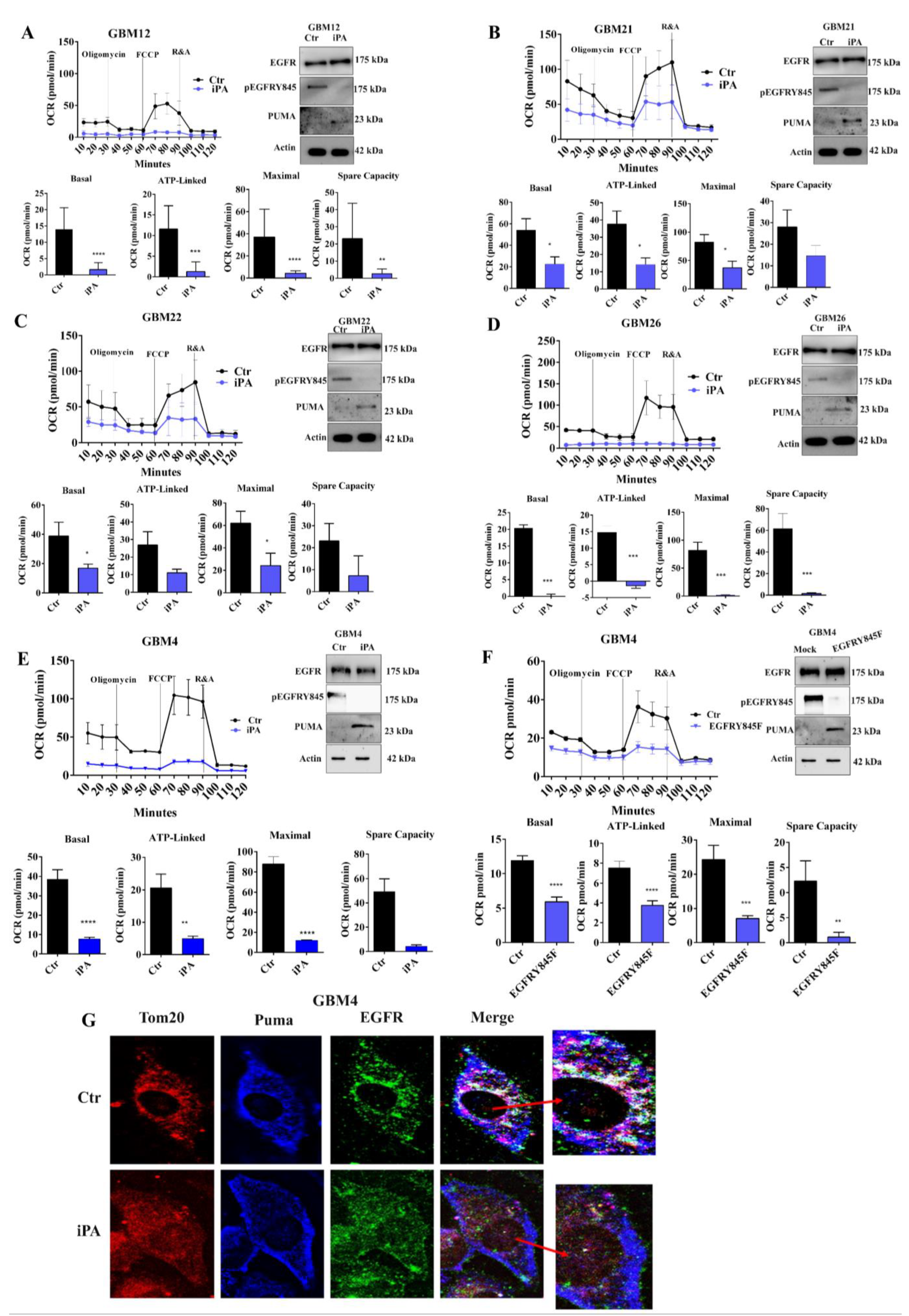 Cancers 14 06044 g007