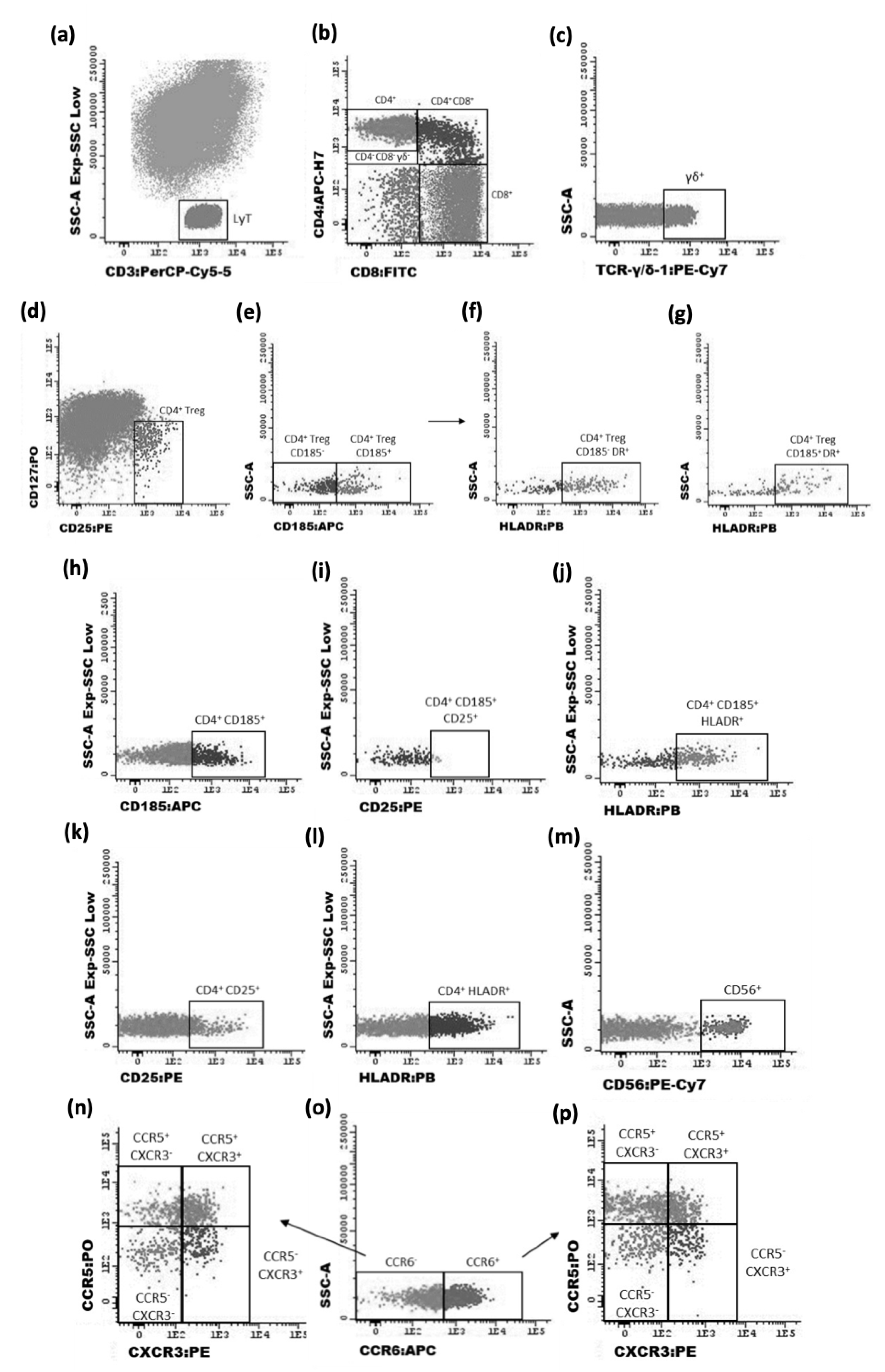 Cancers 14 06069 g002 Cancers 14 06069 g002
