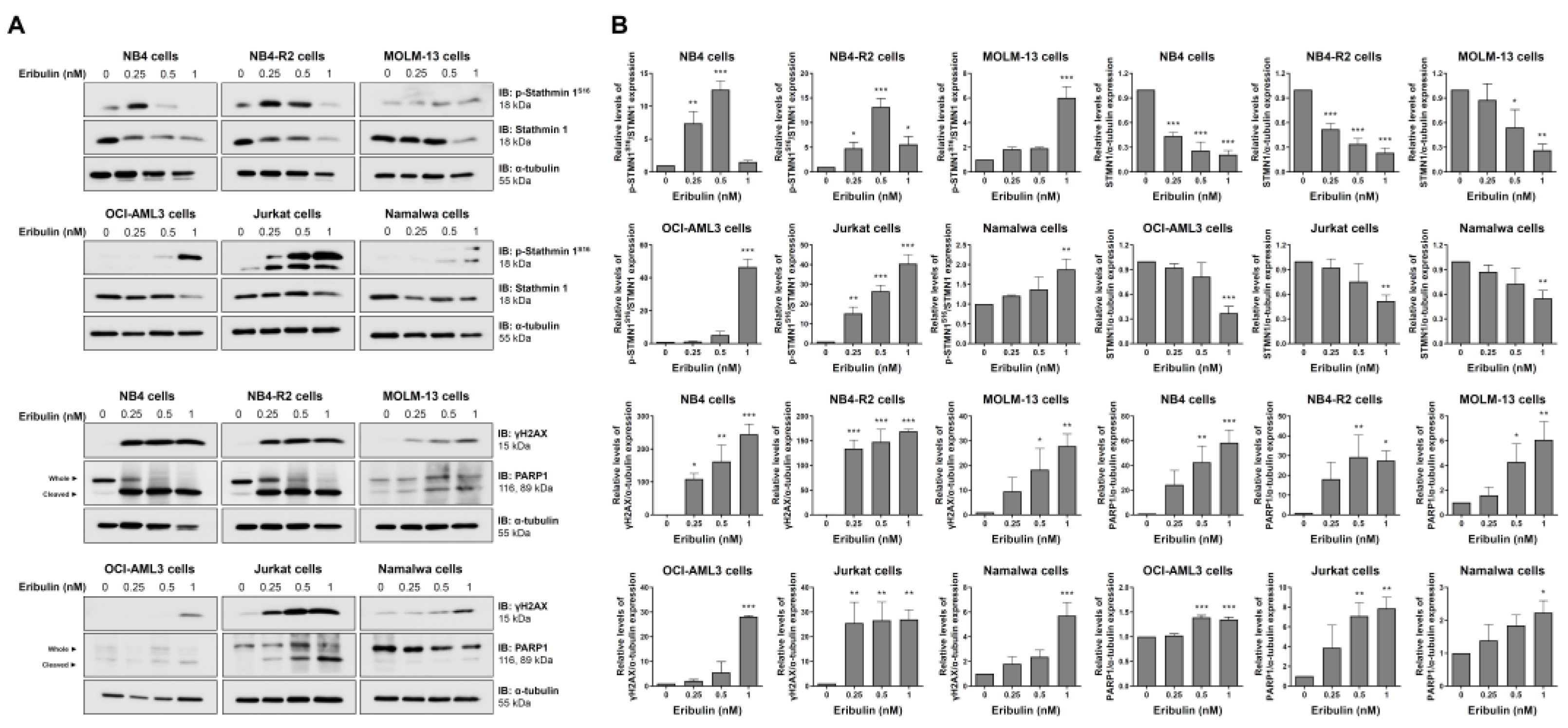 Cancers 14 06080 g006