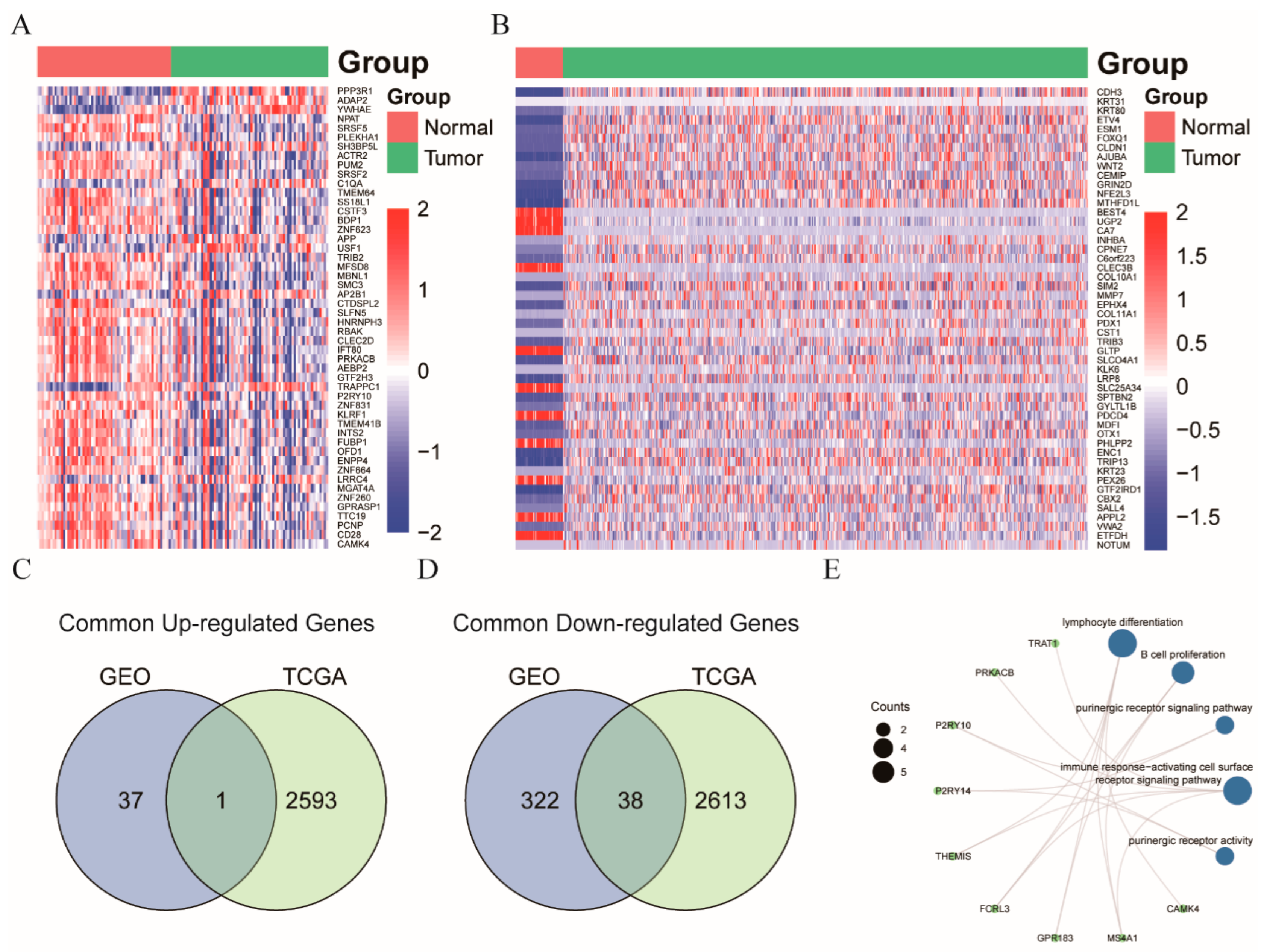 Cancers 14 06105 g004