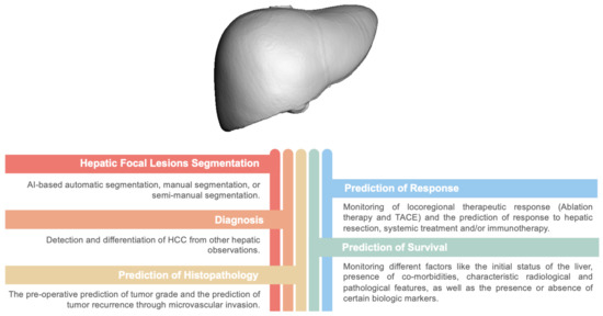 Cancers | Free Full-Text | The Role of Radiomics and AI Technologies in ...