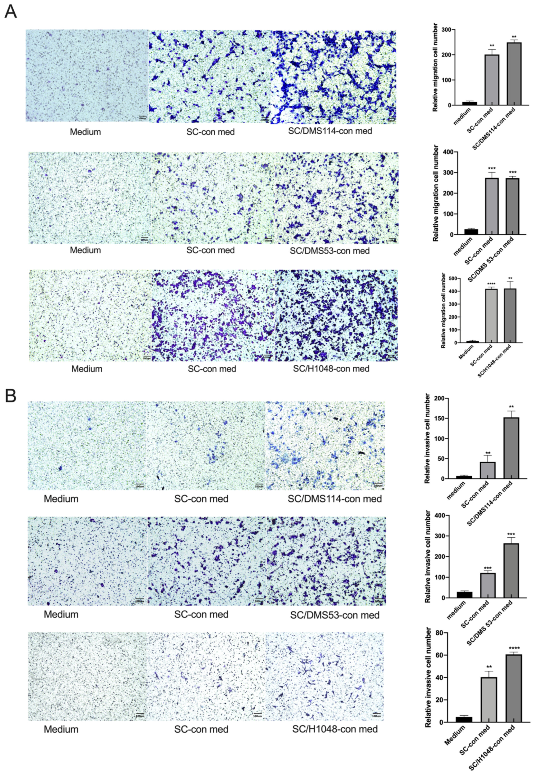 Cancers 14 06132 g001 Cancers 14 06132 g001