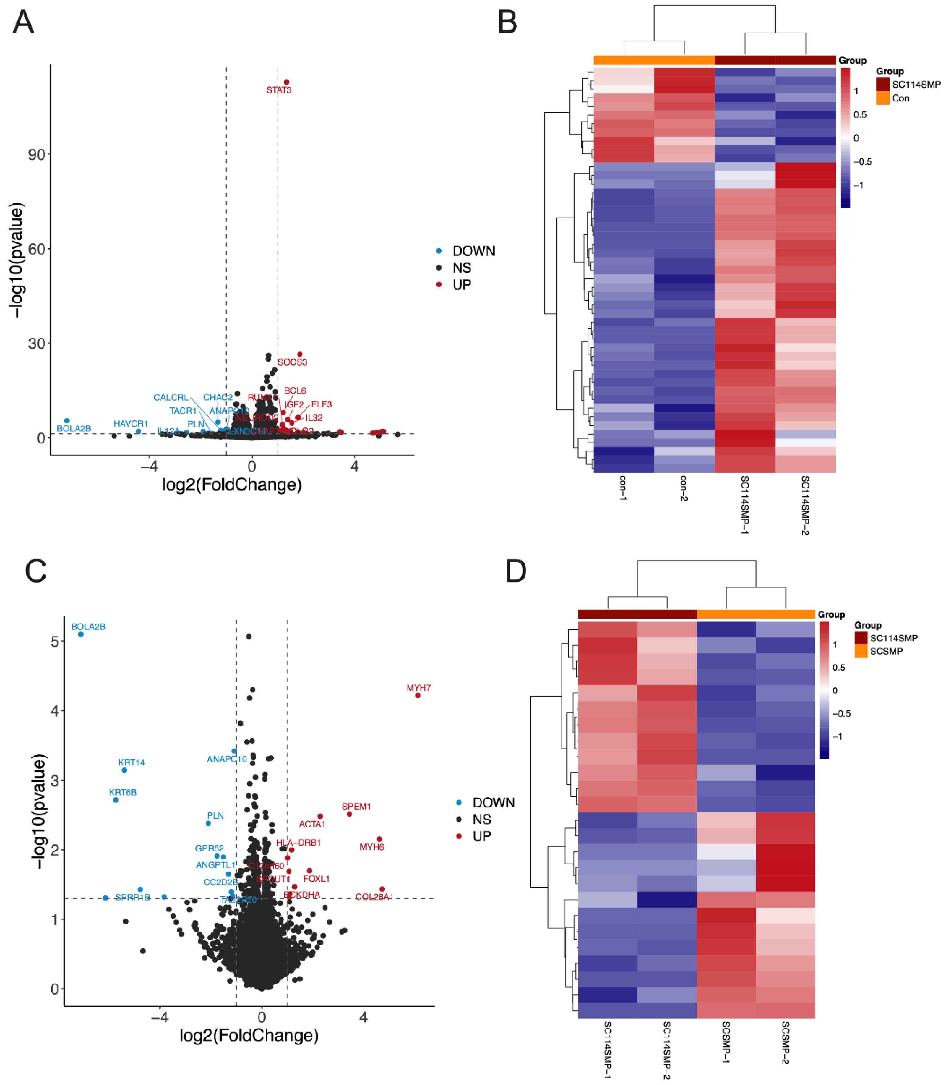Cancers 14 06132 g004a Cancers 14 06132 g004a
